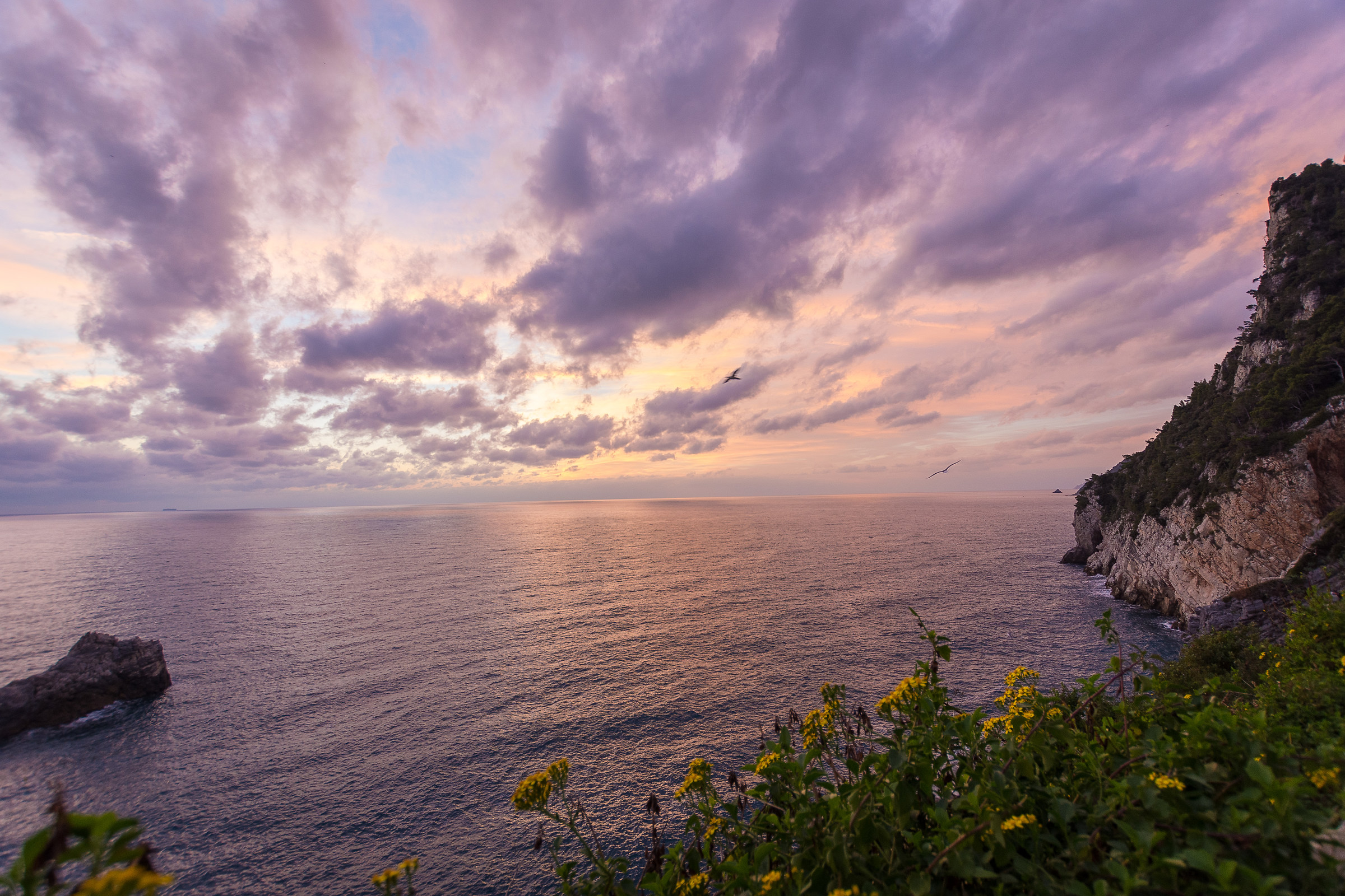 The colors of the sunset