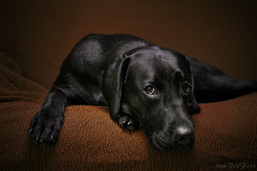 Ao .. but when will you finish?