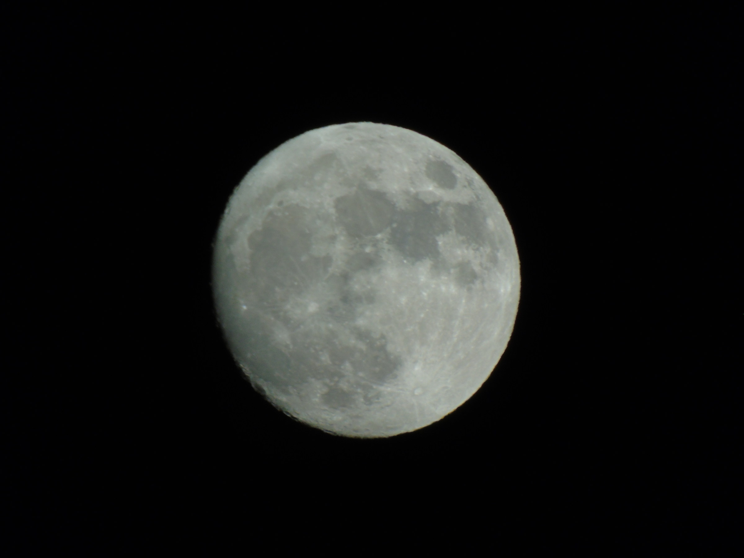 Un piccolo passo per l'uomo...