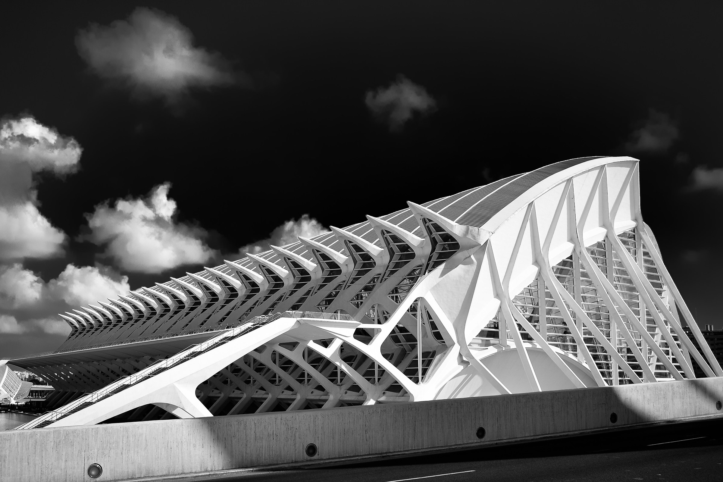 Museo delle scienze Principe Felipe