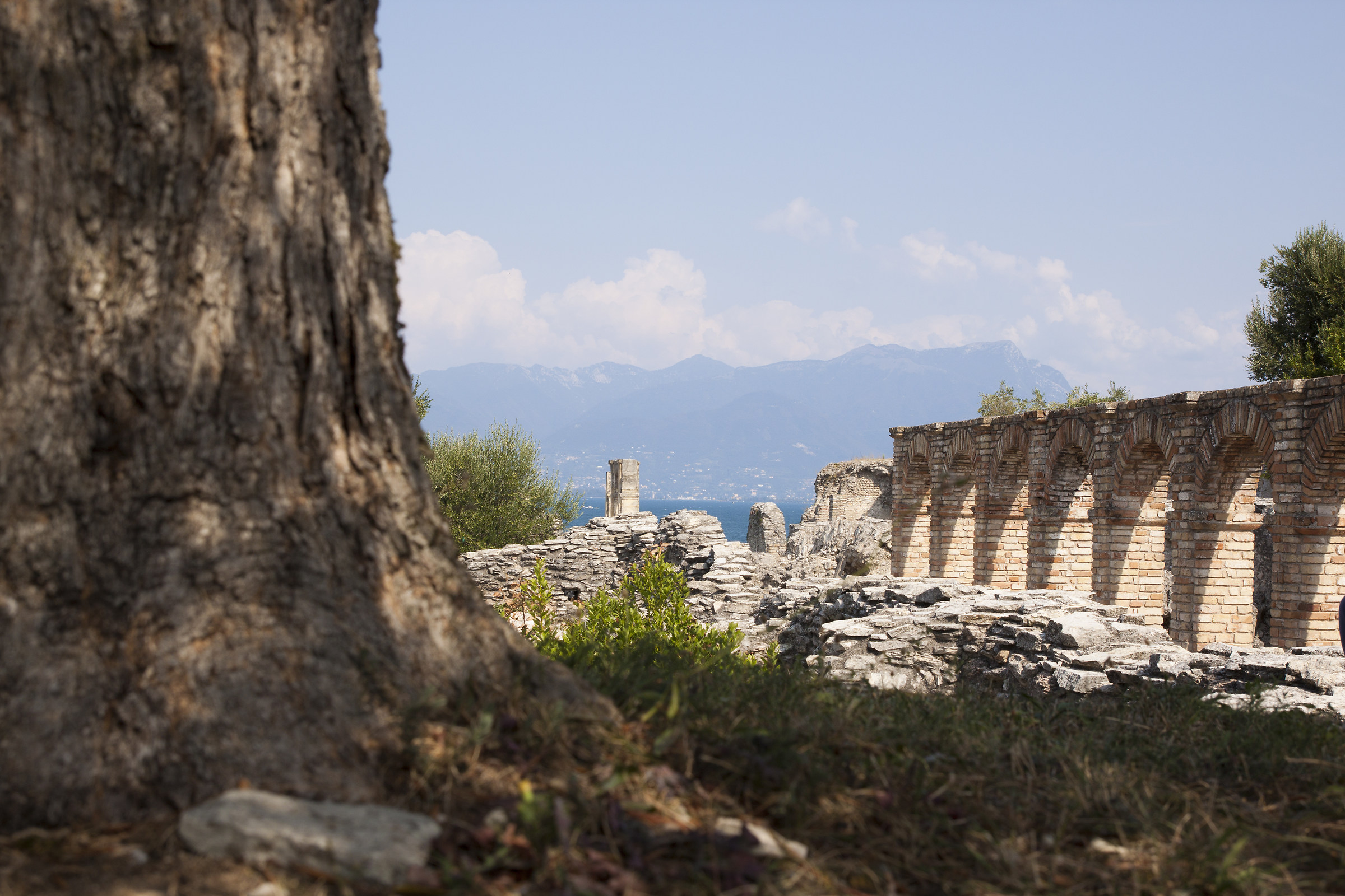 A look into the past