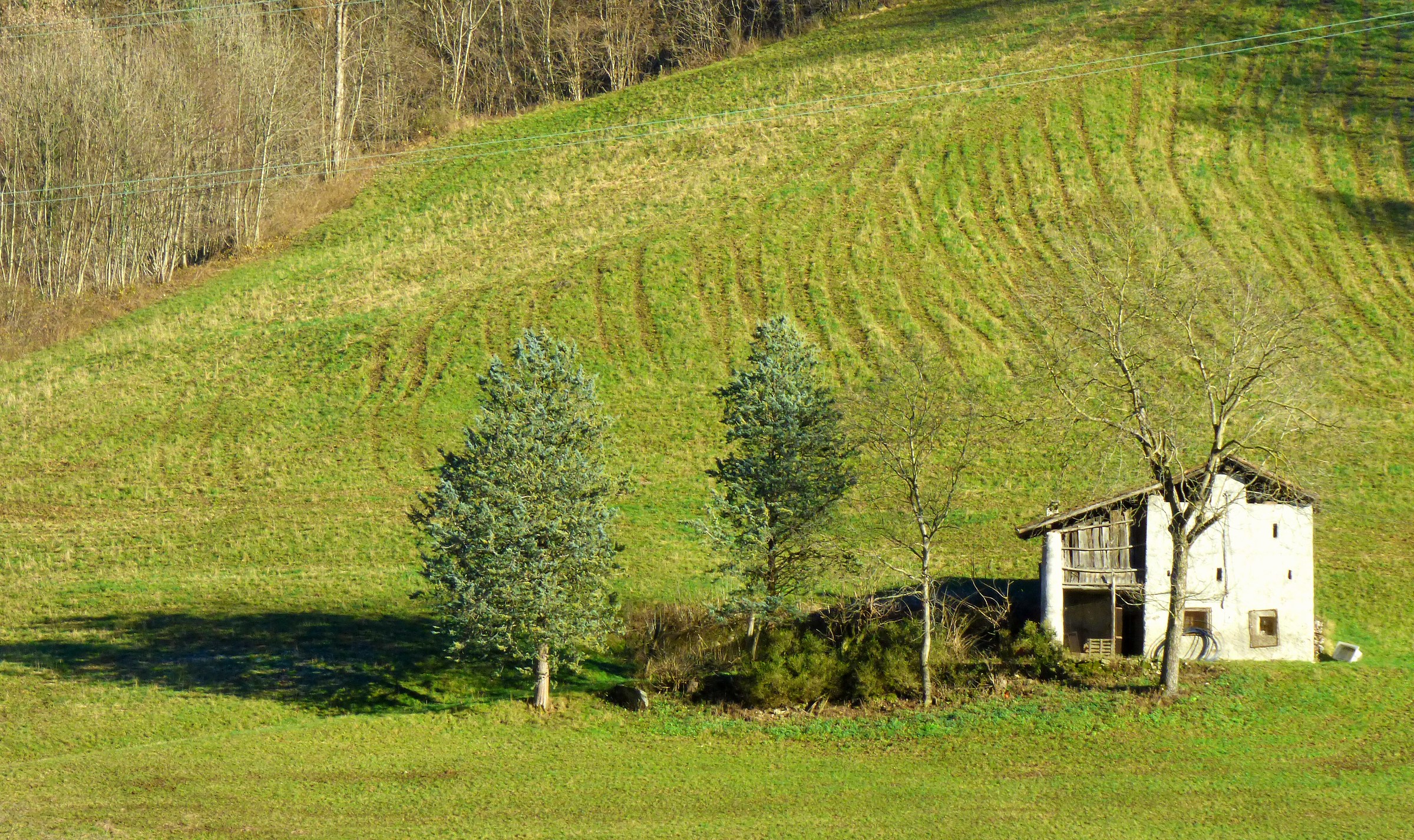 ... Pure relaxation ...