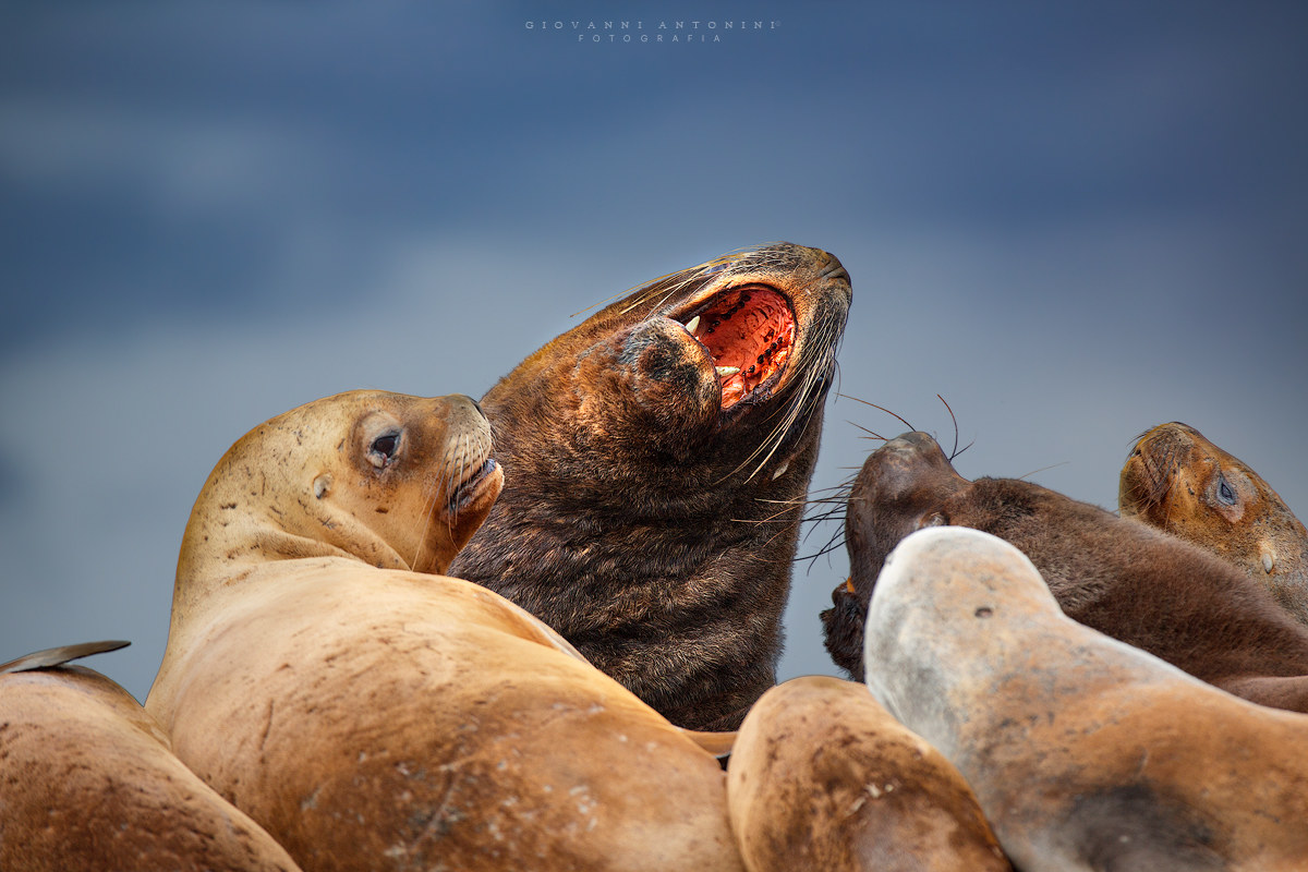 otherwise we get angry