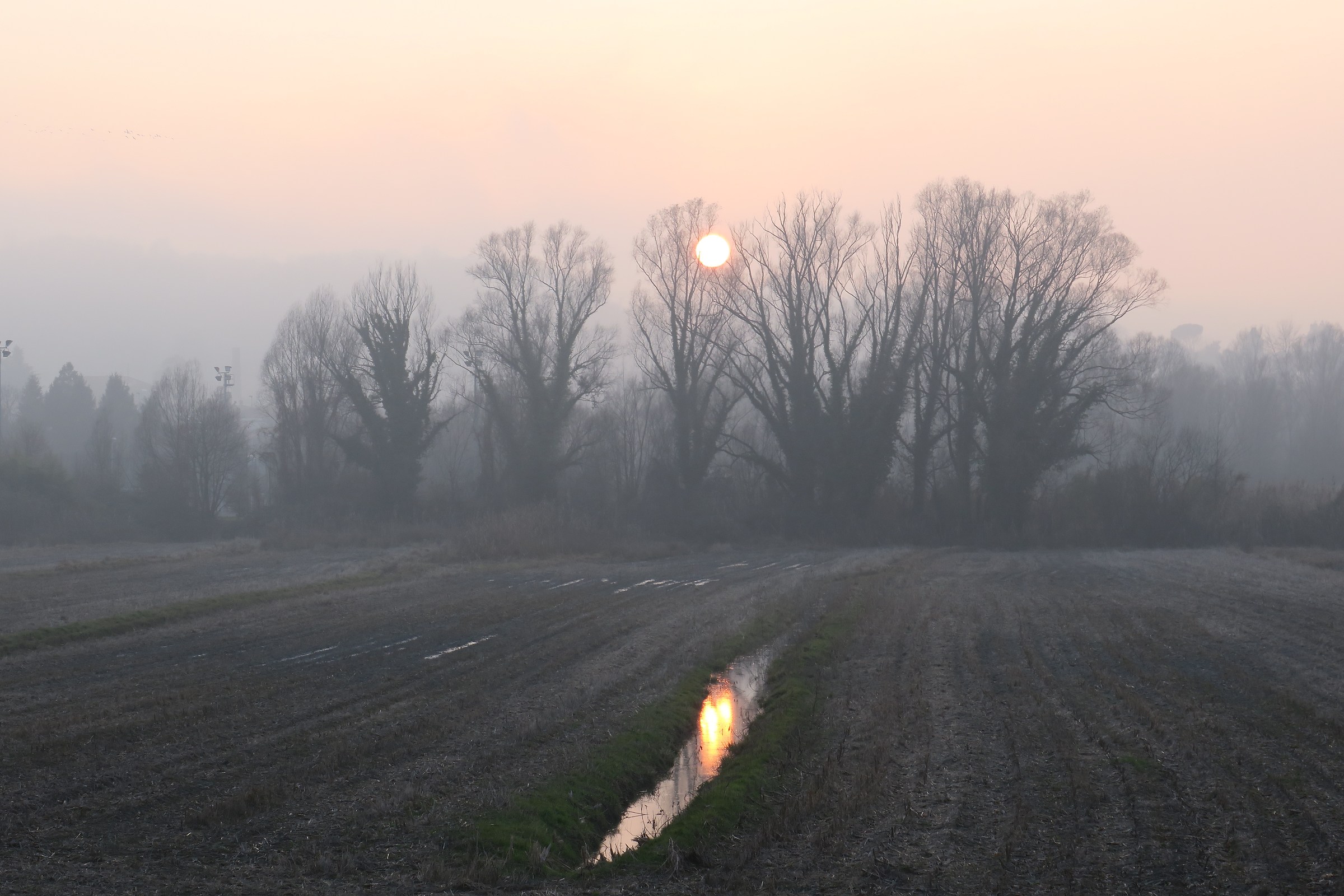 winter sunset in the Lombardy countryside veiled from