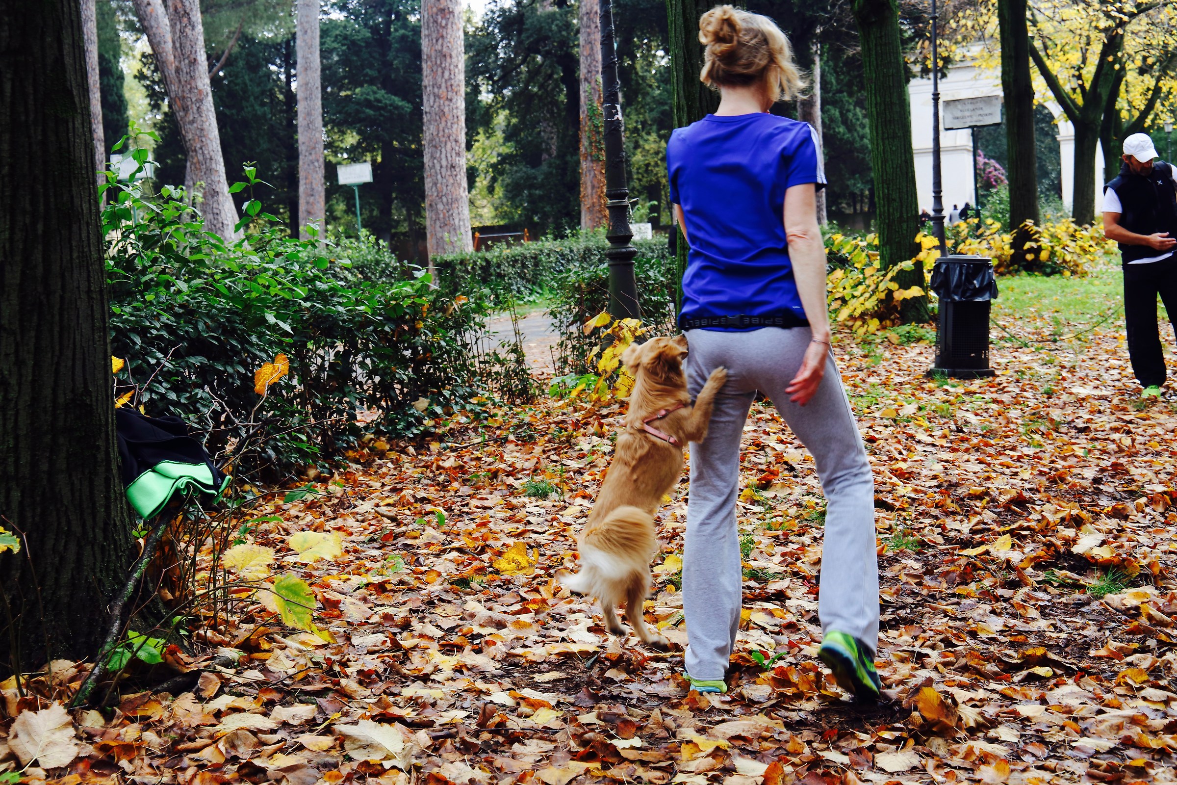 Salta tanto ti prendo