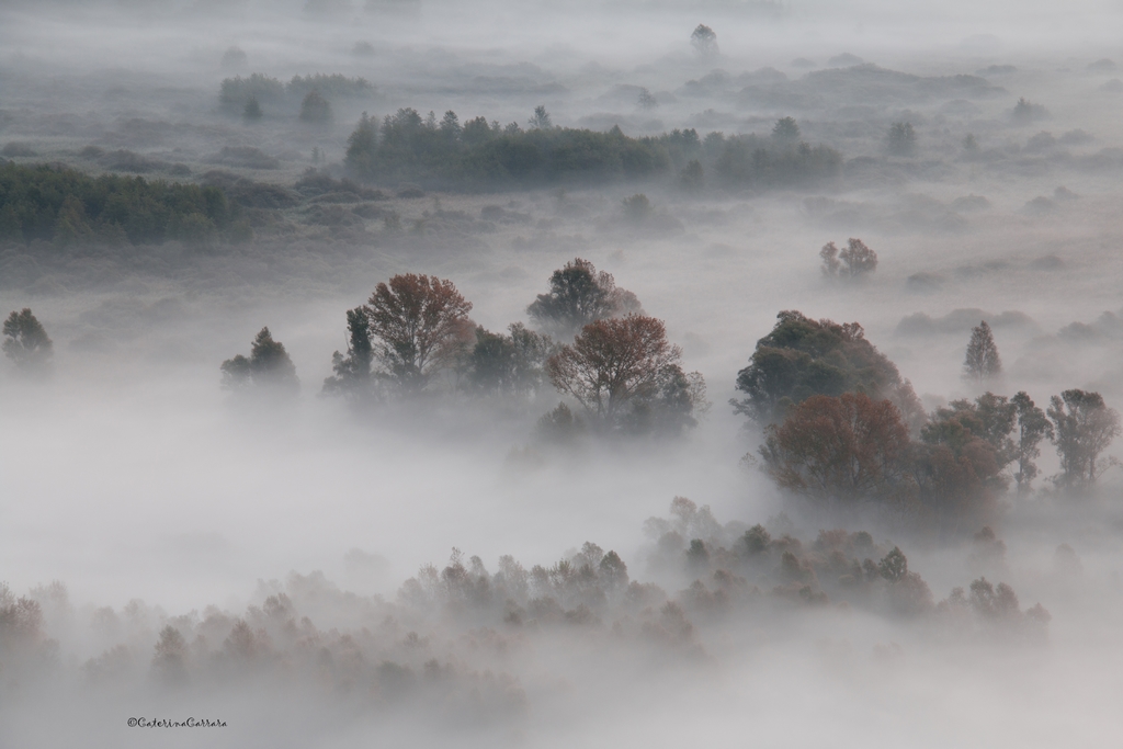 Waiting for the sun!