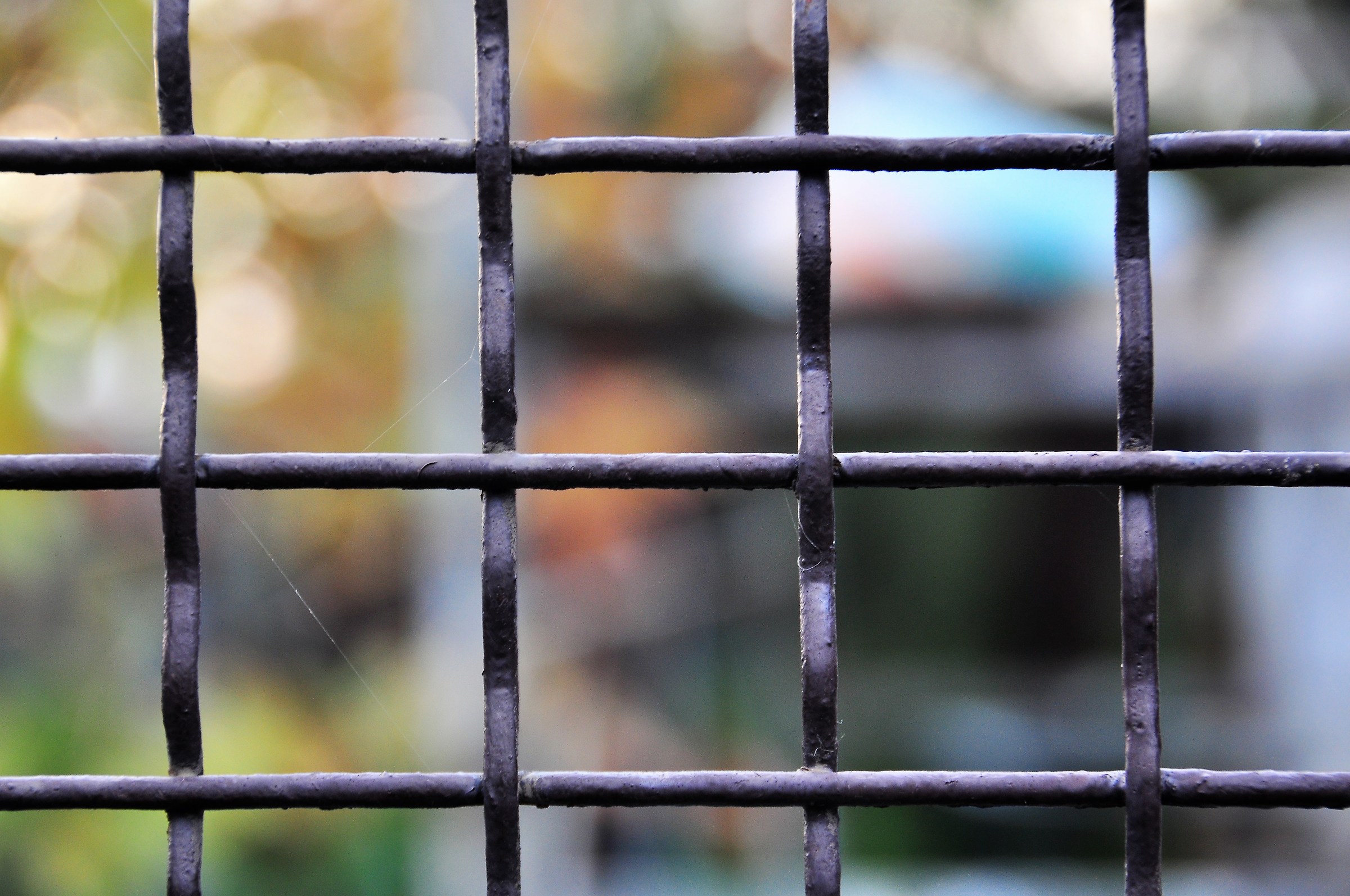 Autunno imprigionato