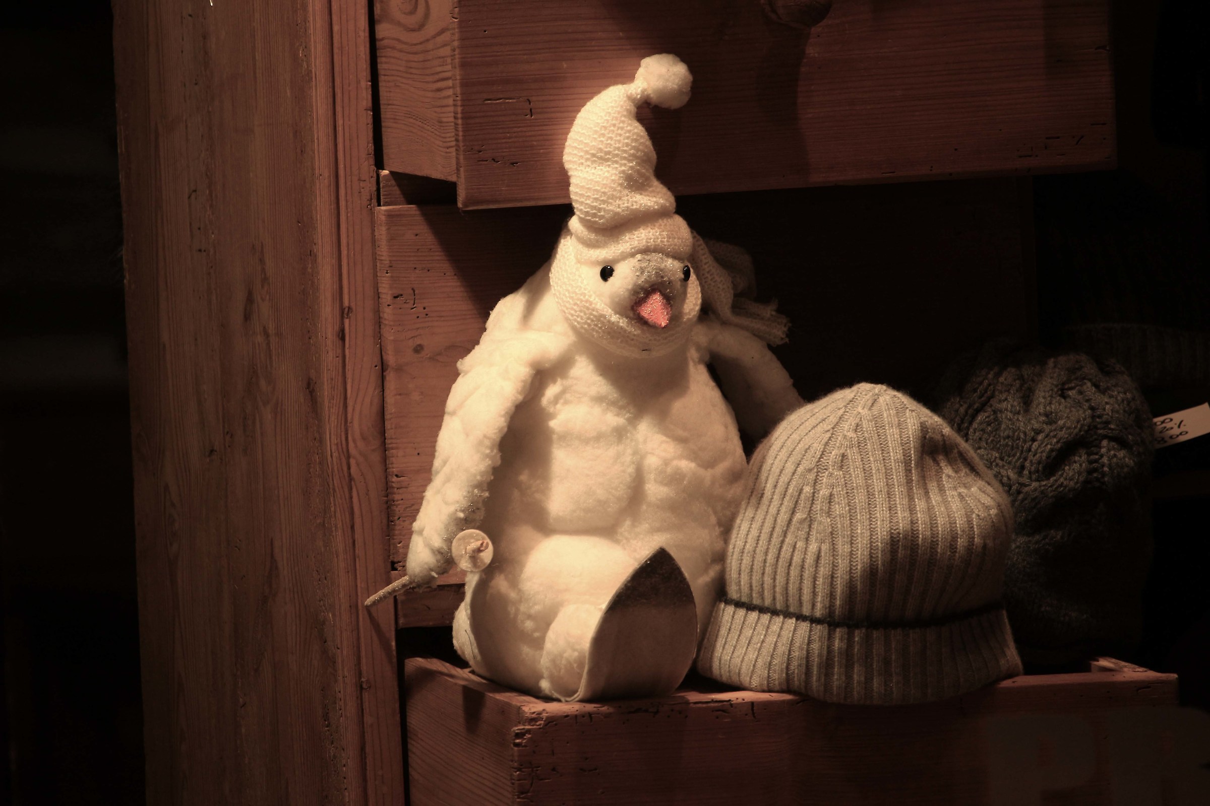 Penguin in the drawer