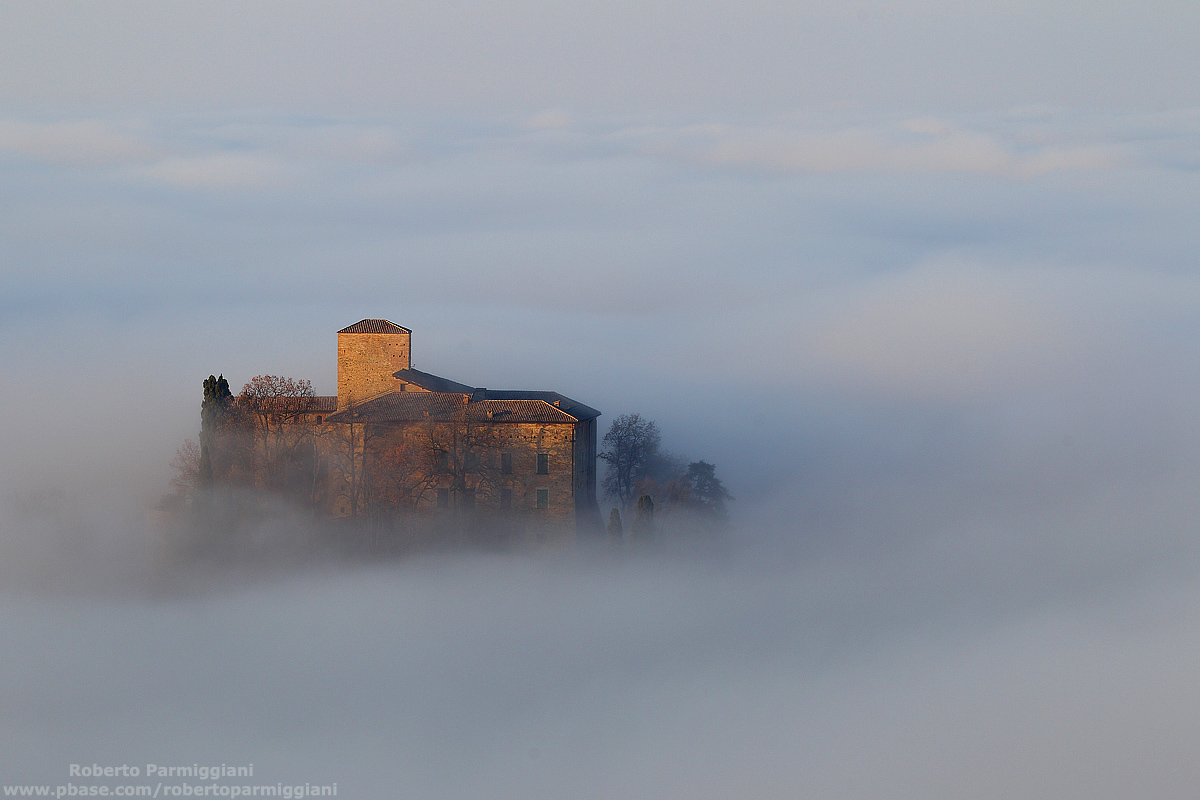 L'isola che non c'è. ...