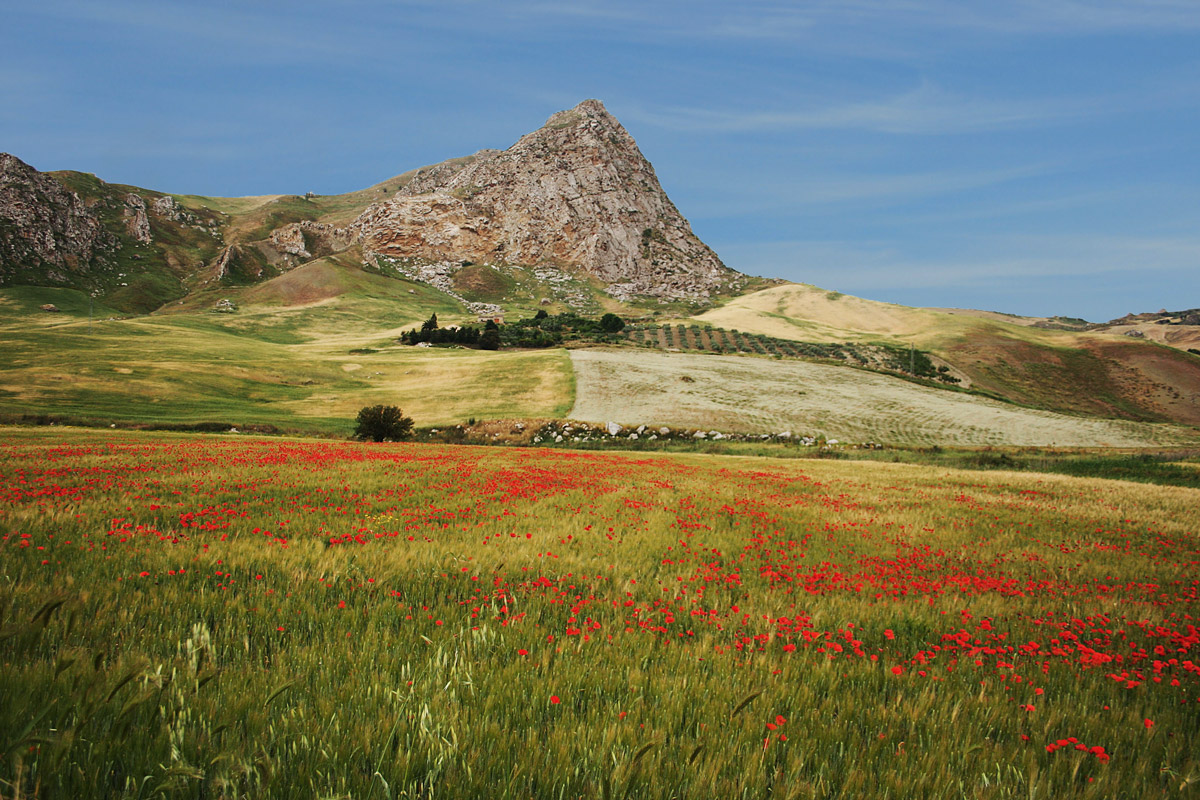 The colors of spring