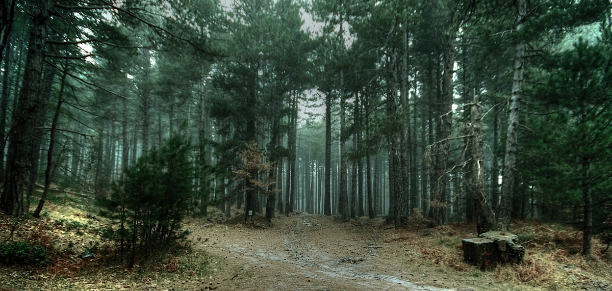 Beauty (Etna) Sicily