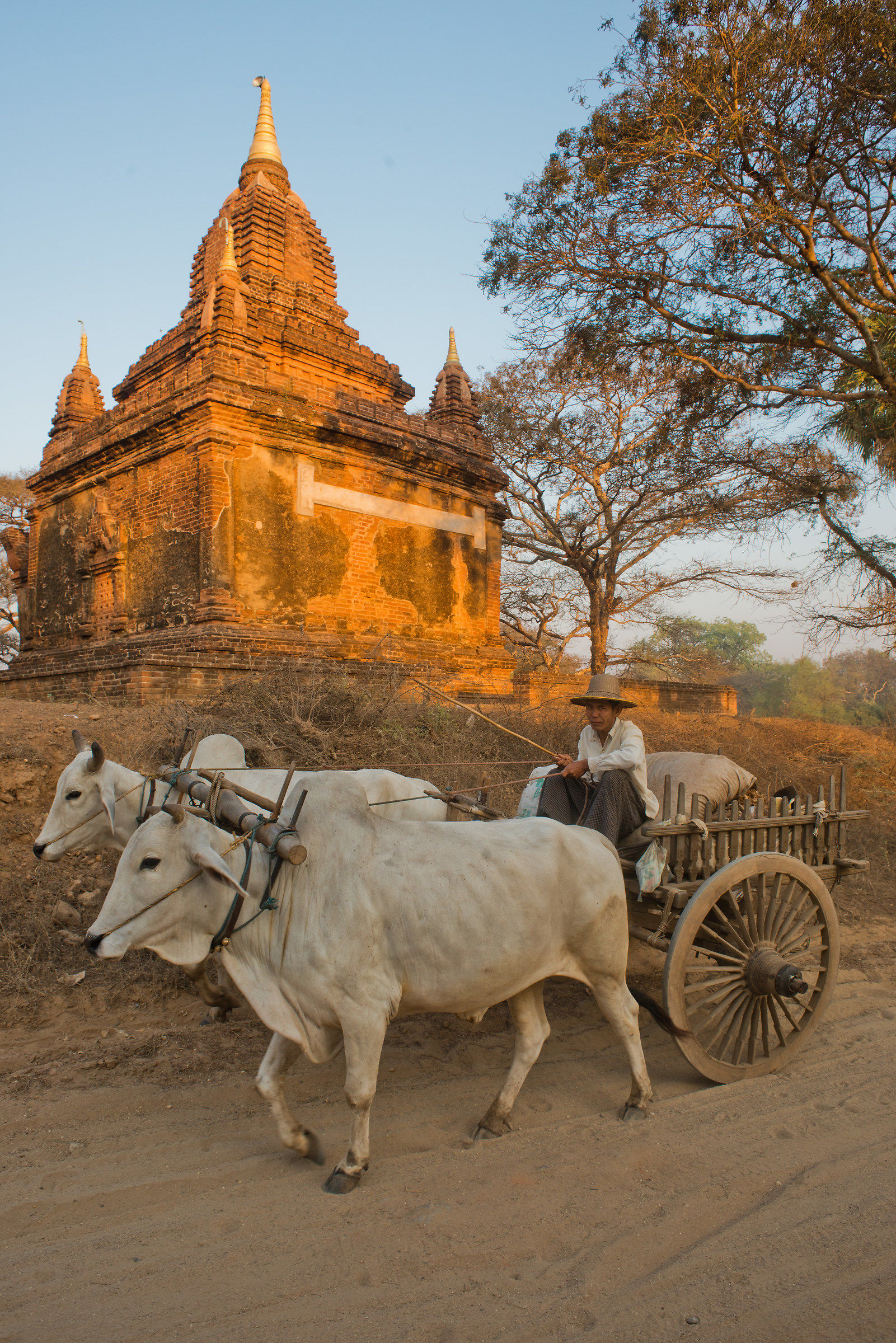 myanmar 2015