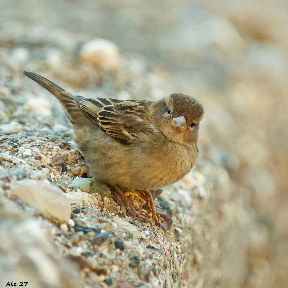 ... you have something for me ? ...