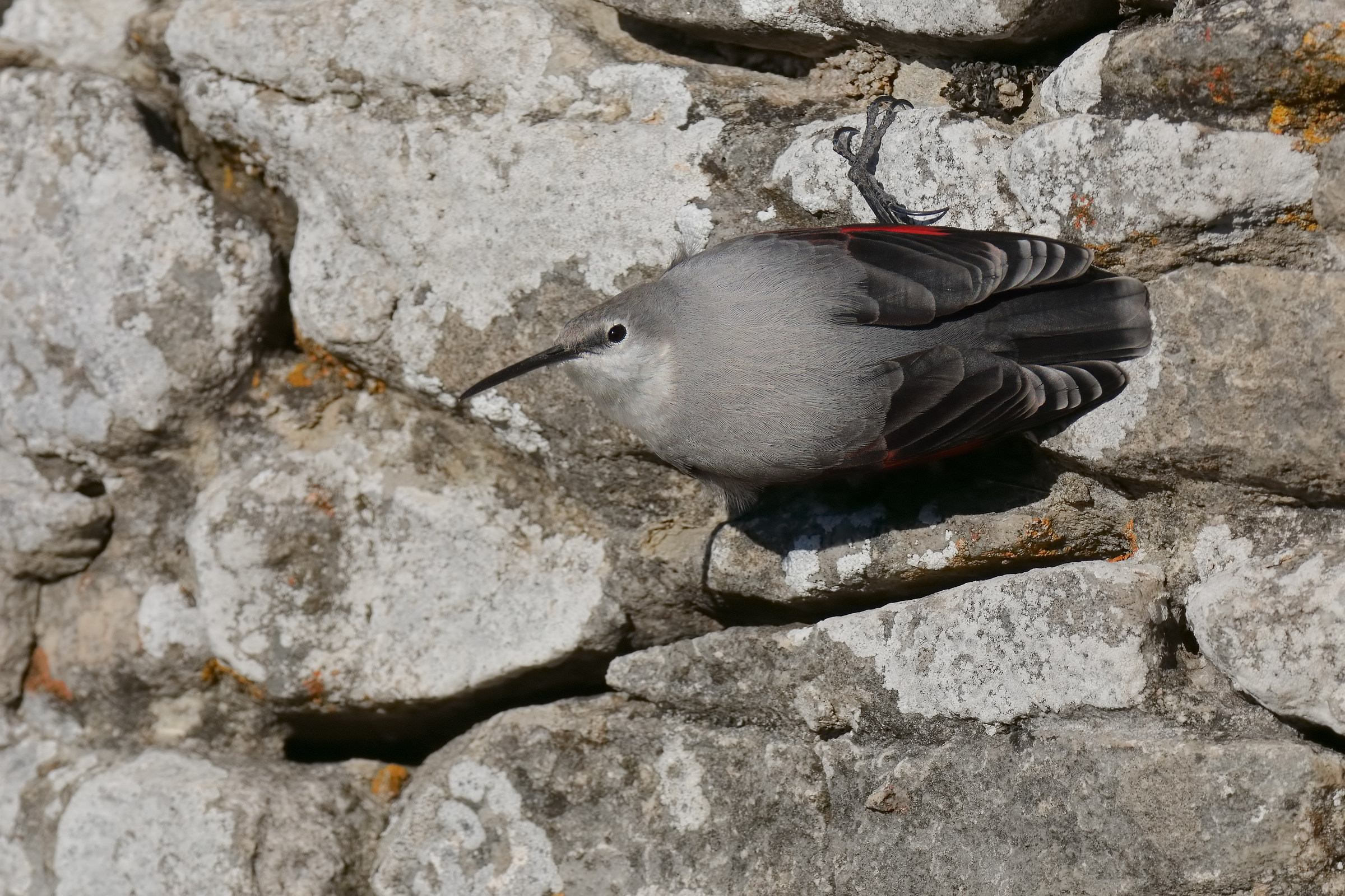 What are you watching?