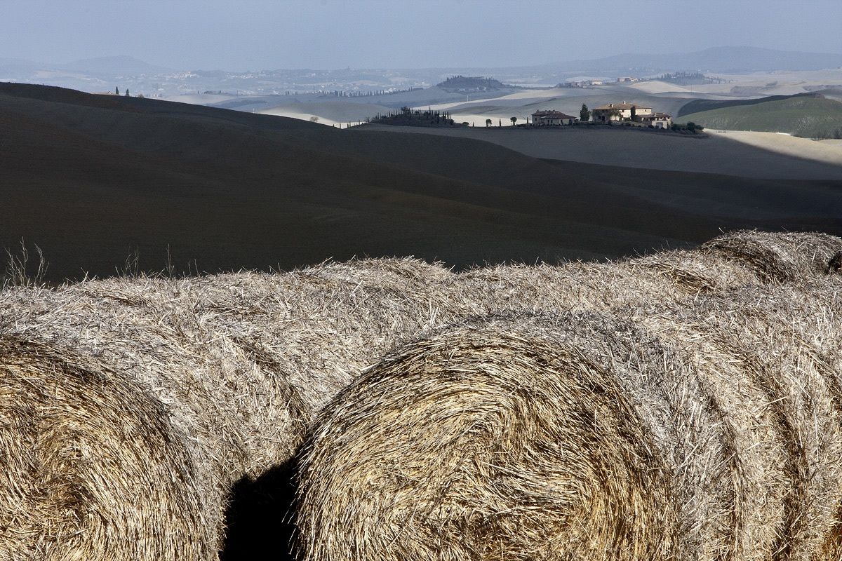 Colline senesi