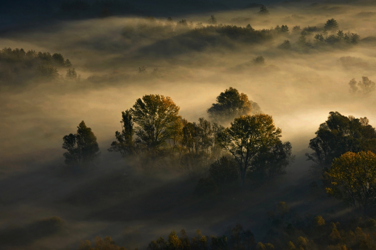 Bagliori nella nebbia