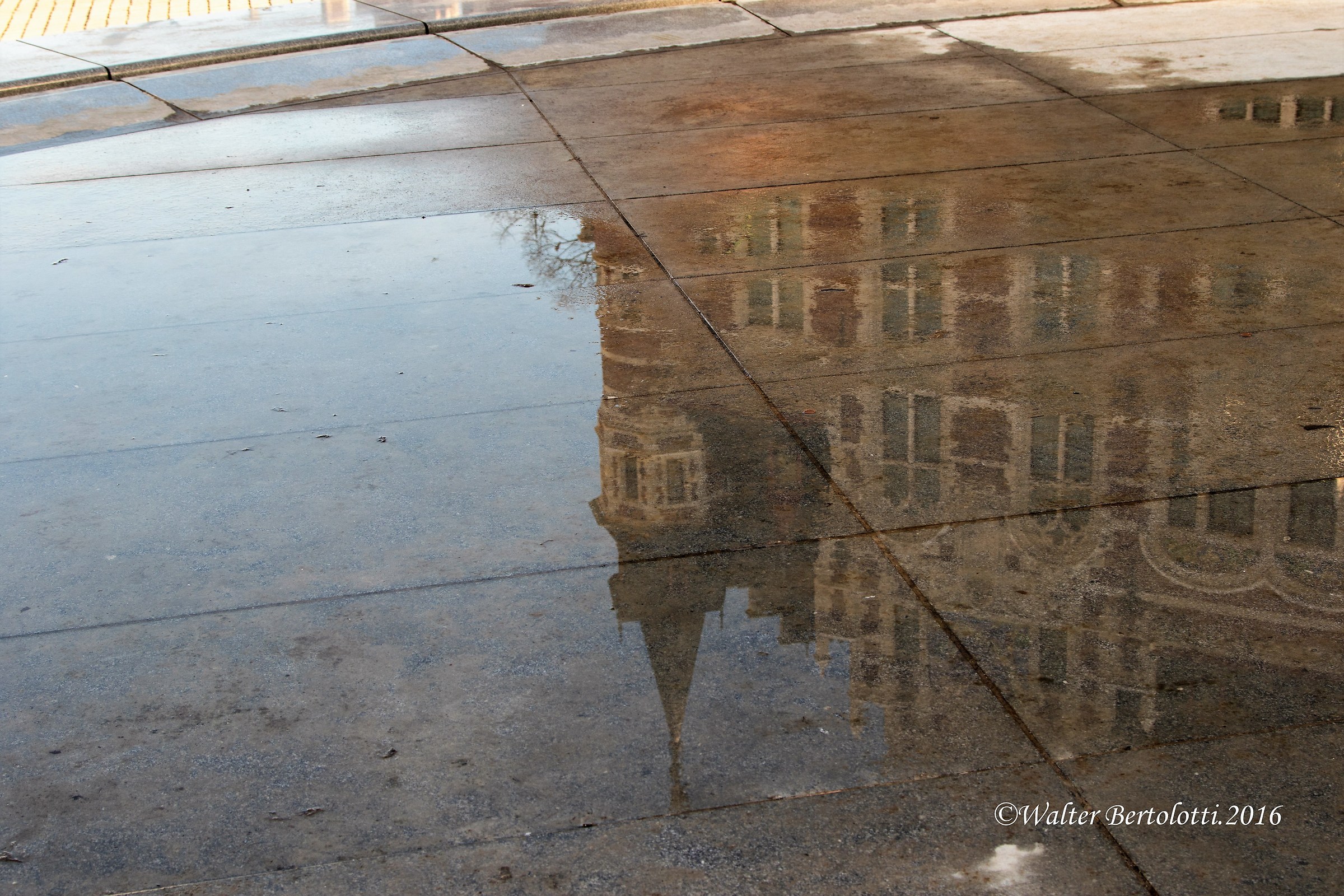 after the rain the evening