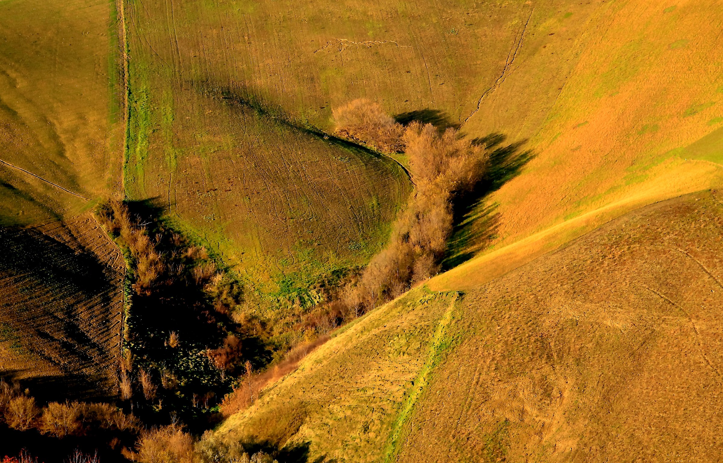 The pubis of the earth!