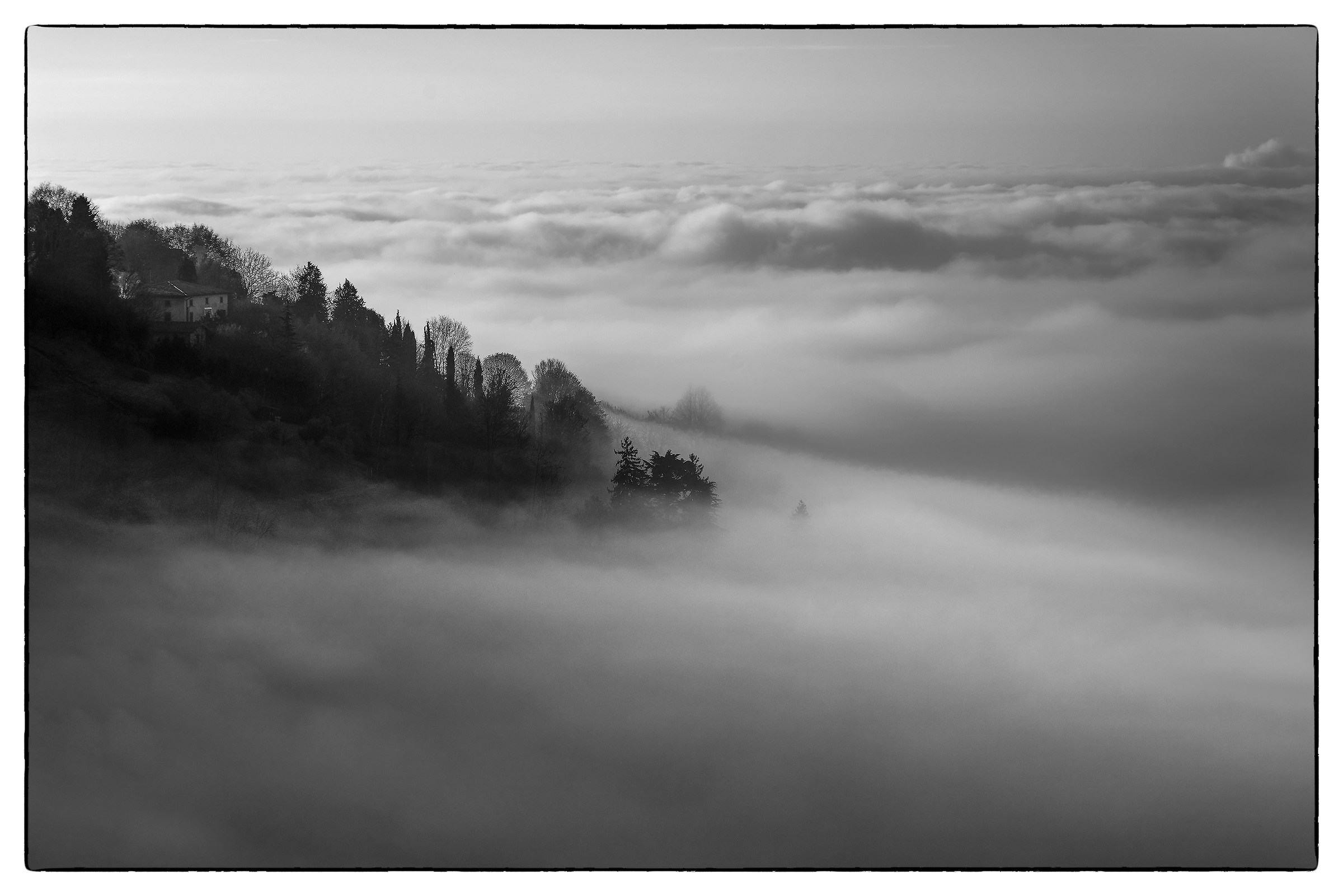 fog 3