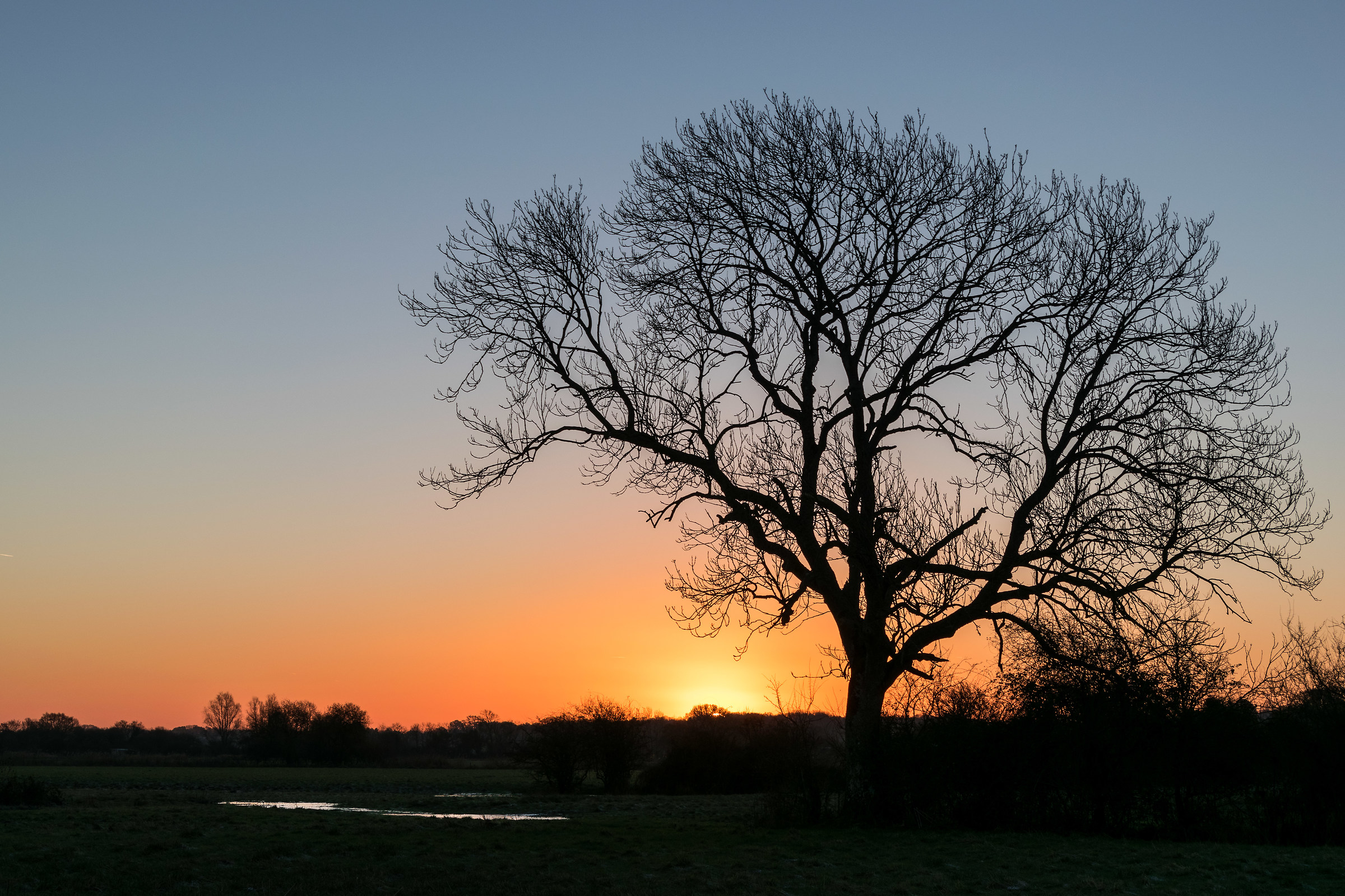 Lo splendore di un inverno sunrise