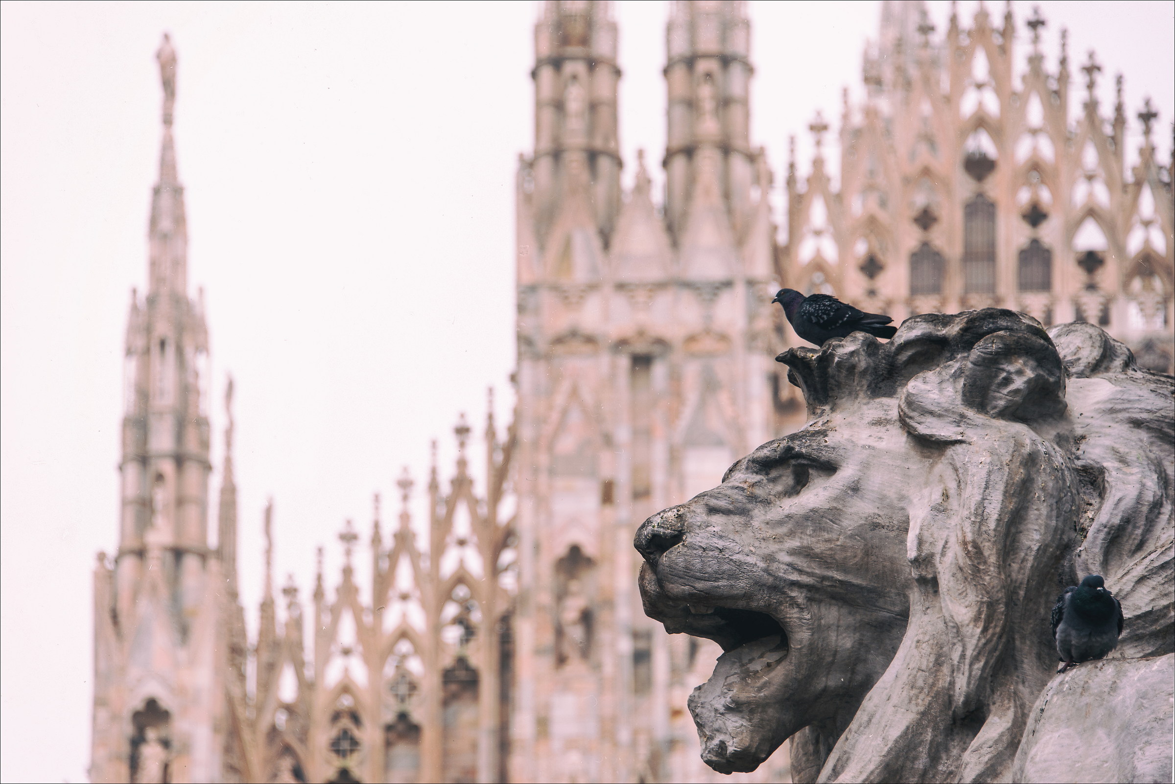 Il custode del Duomo (e due intrusi...)