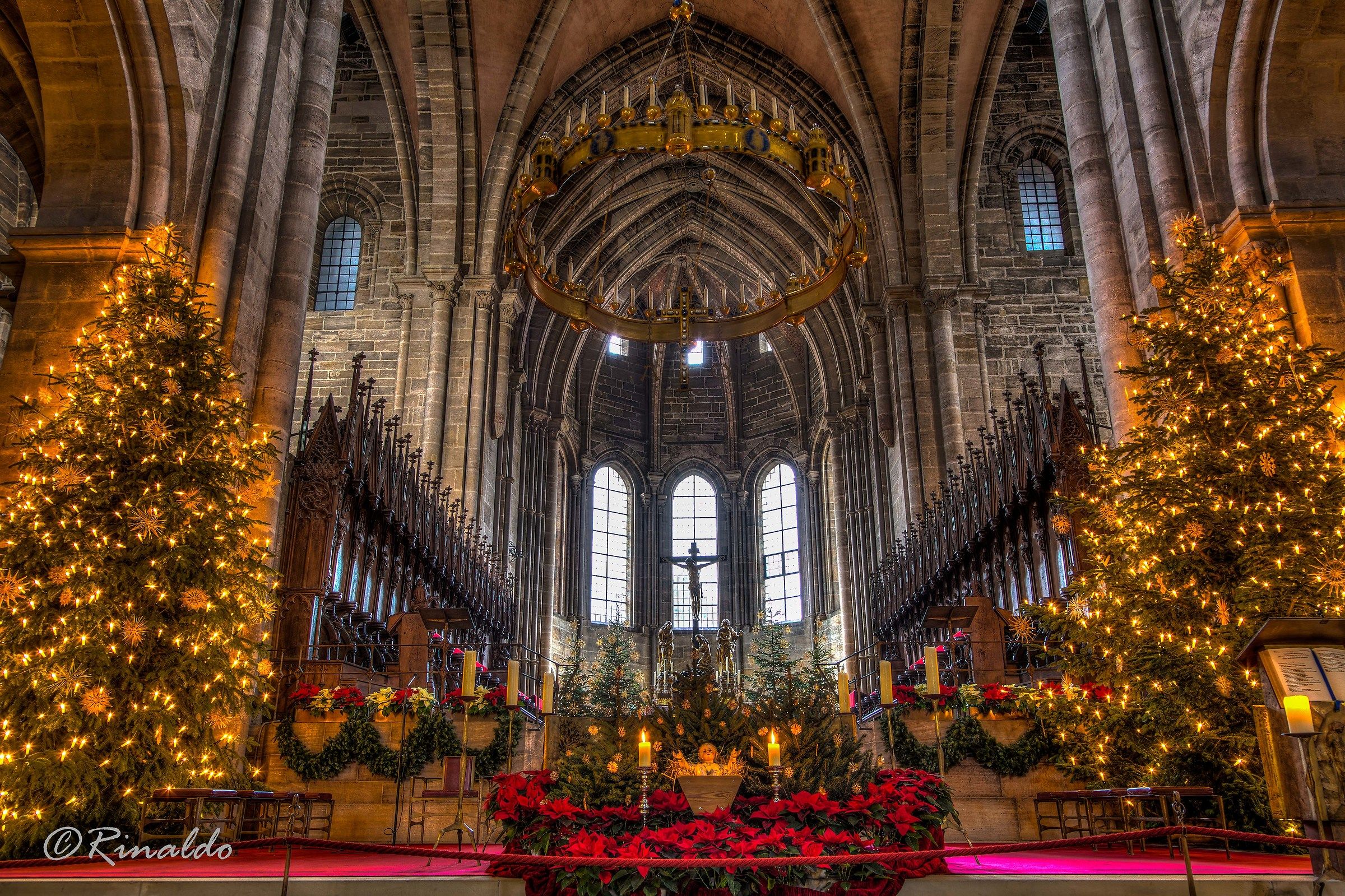 Buon Natale e buon Anno 2017 a tutti gli amici di Juza