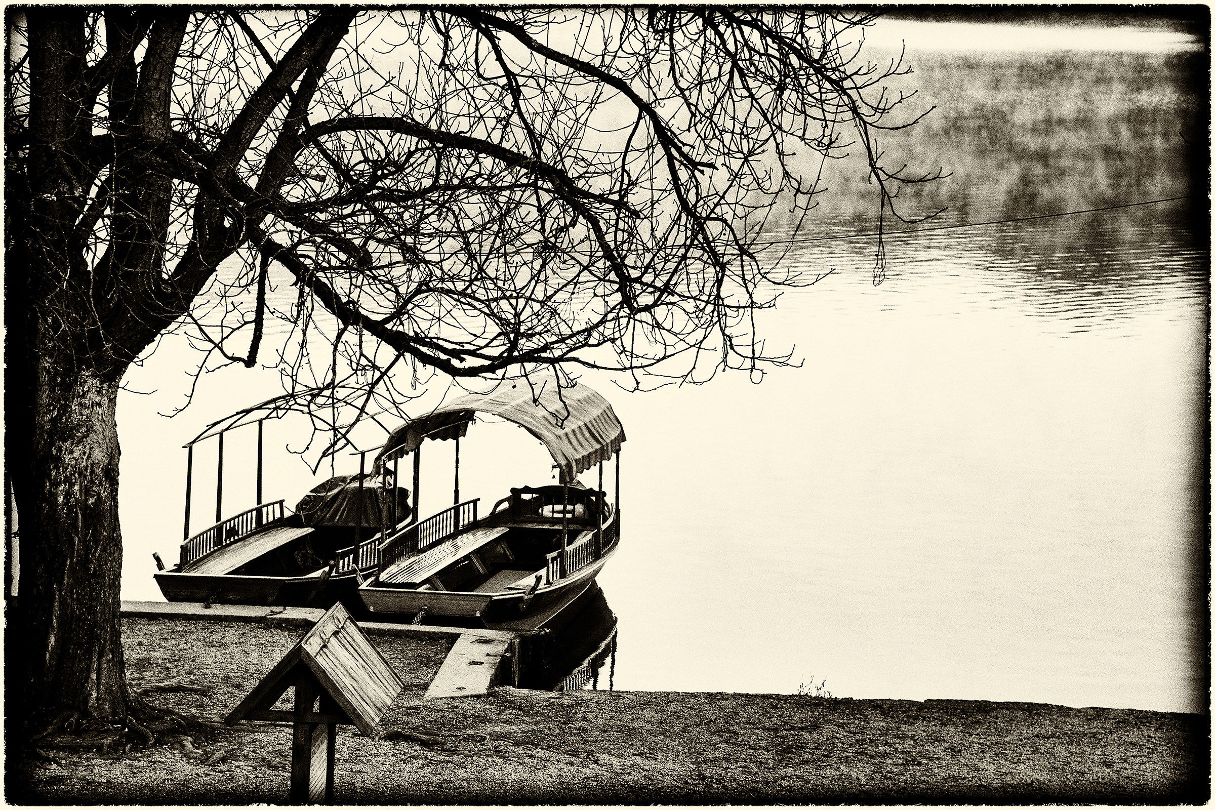 Bled - boats to rent