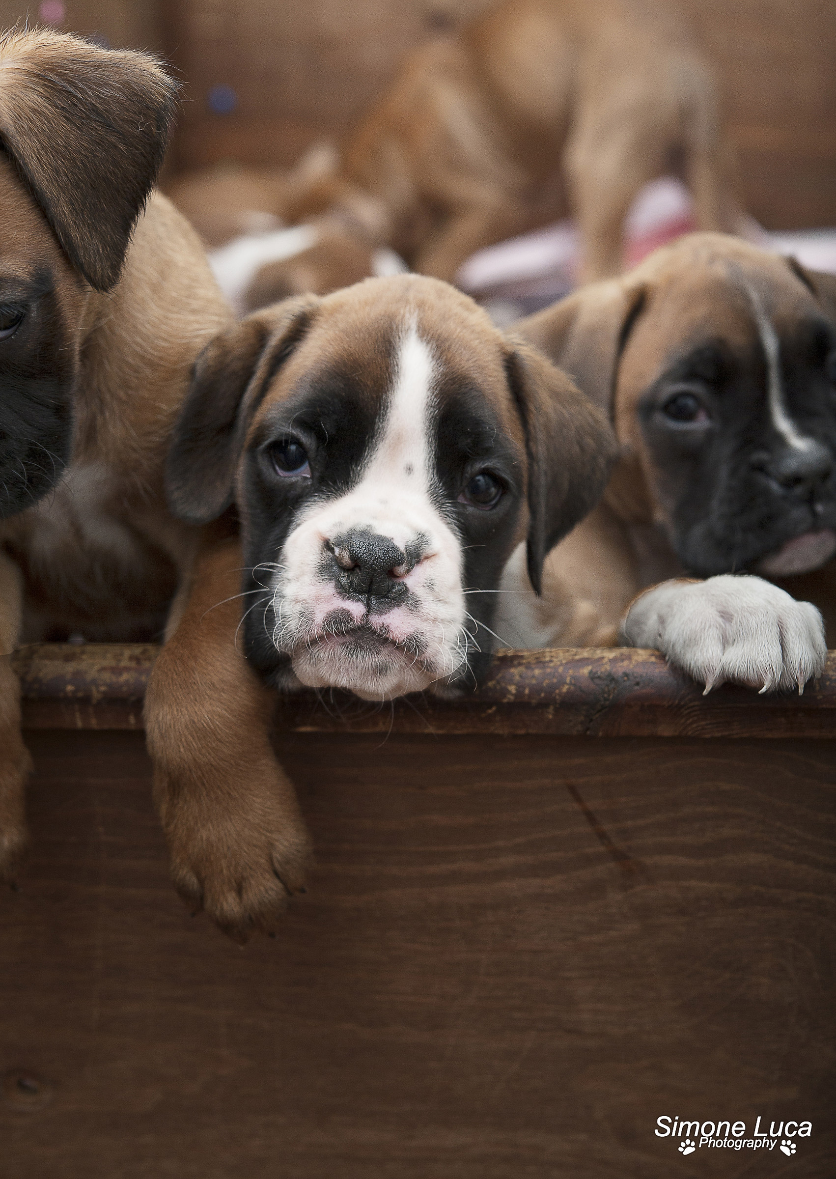 Ragazzi abbiamo fame