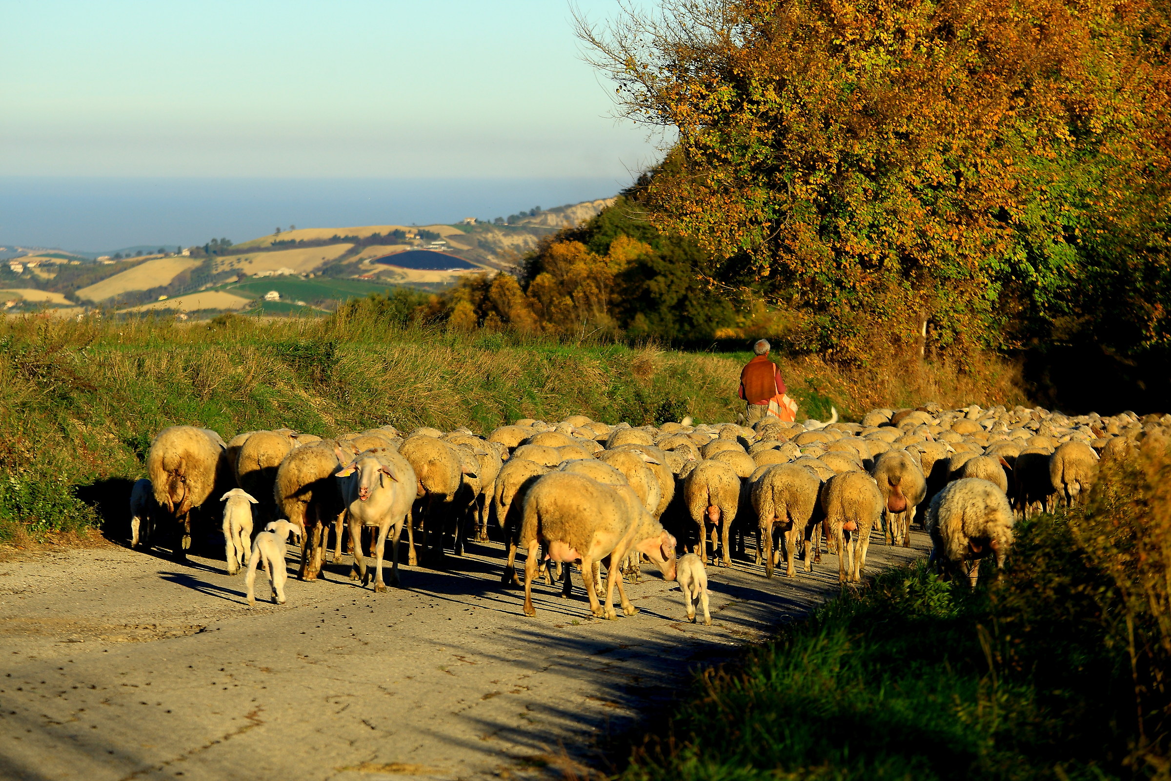 e' sera, si torna a casa-
