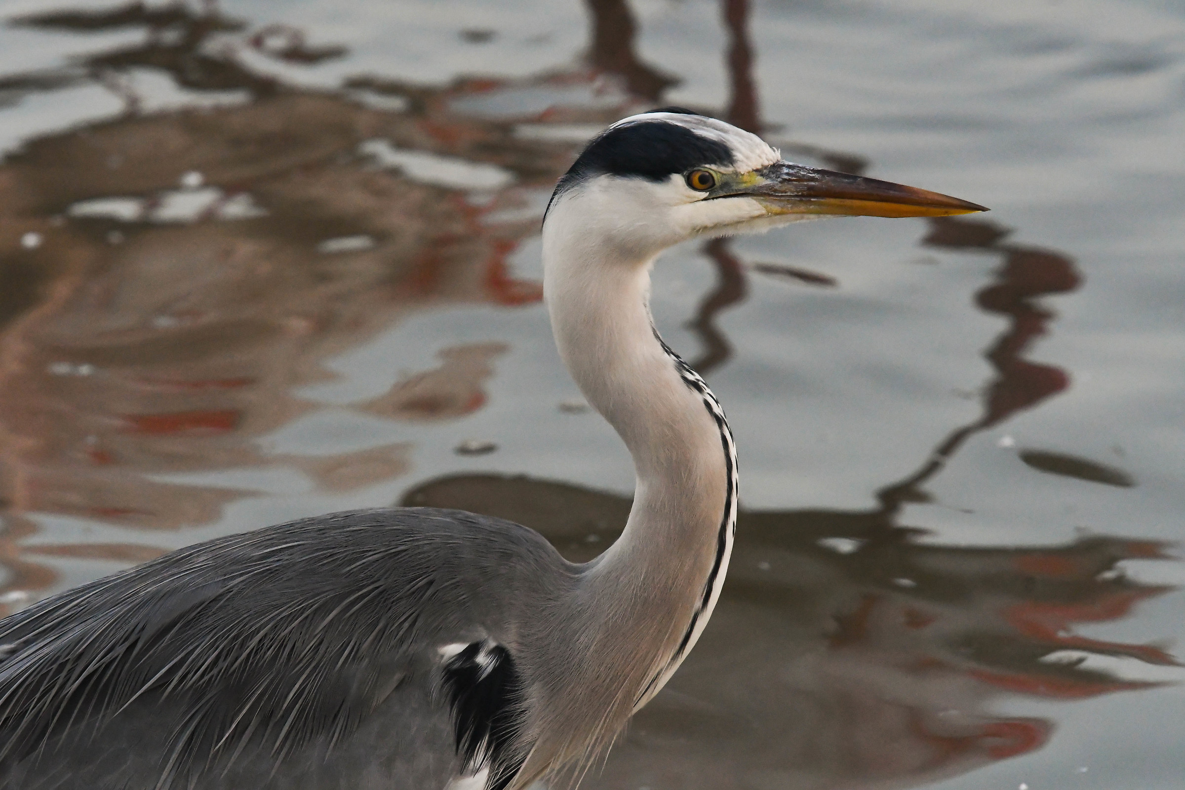 First floor with reflections