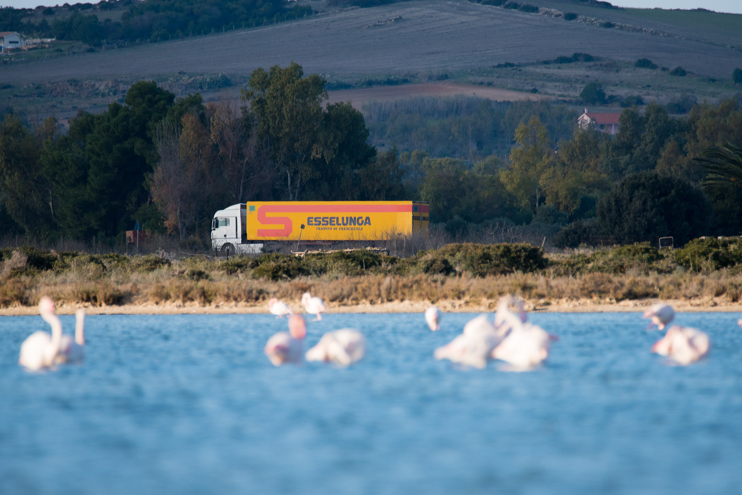 In Sardegna o a Milano?