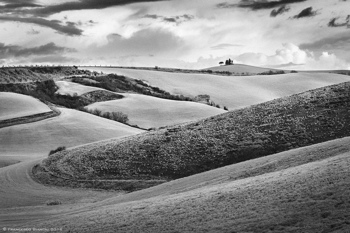 monochrome visions of the Tuscan hills