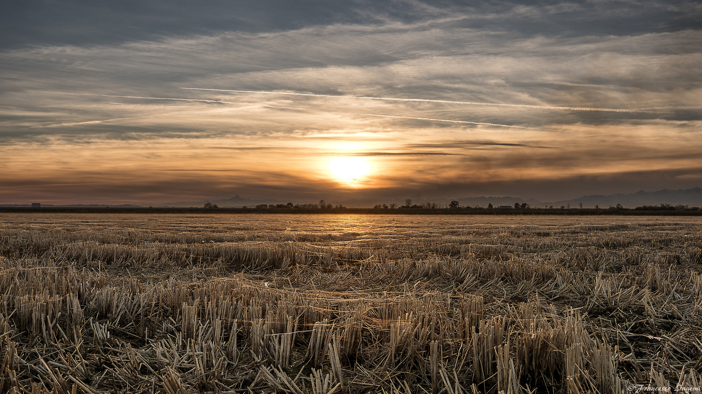 Paddy fields in winter: sunset.