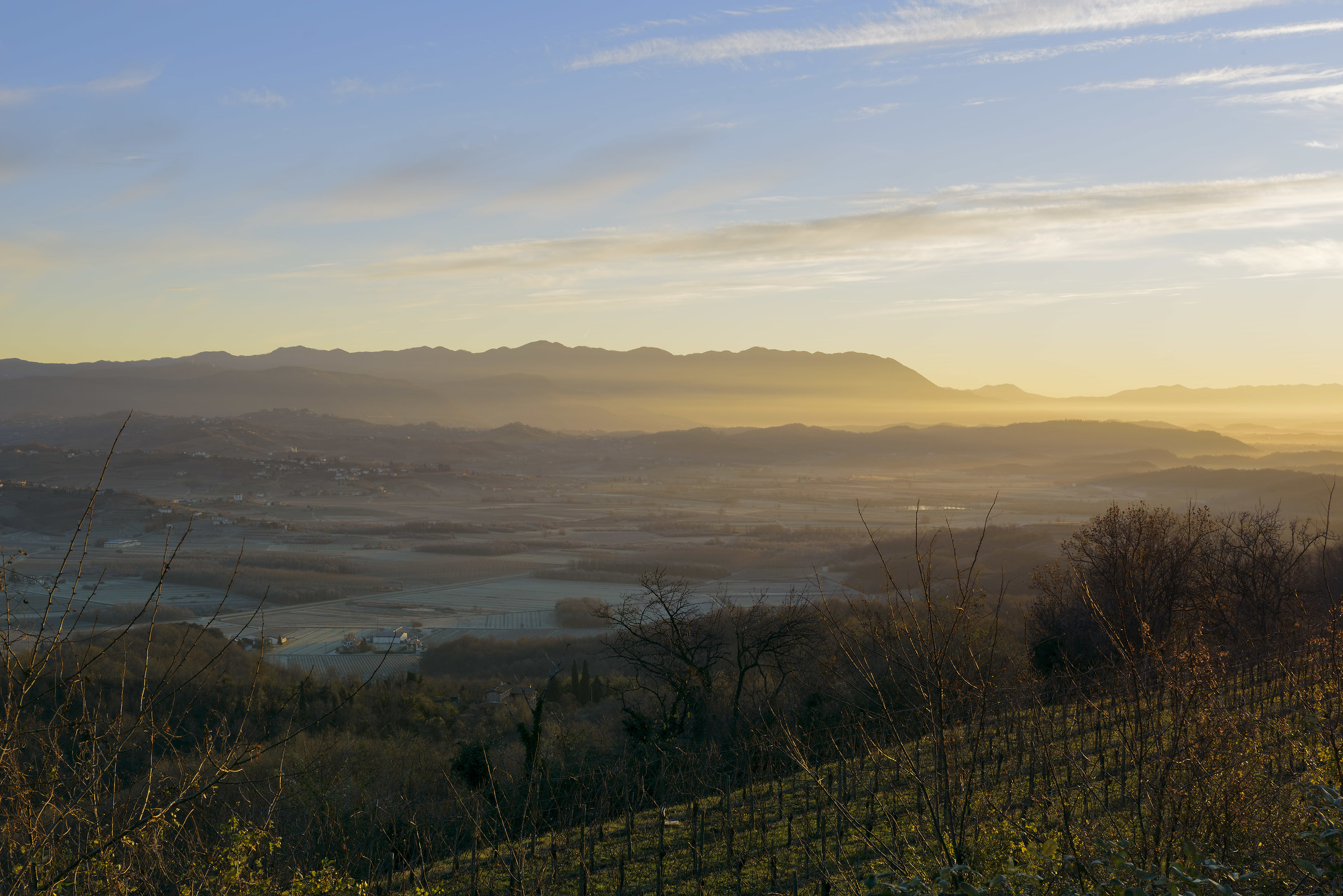 icy dawn (waiting Vestrahorn)