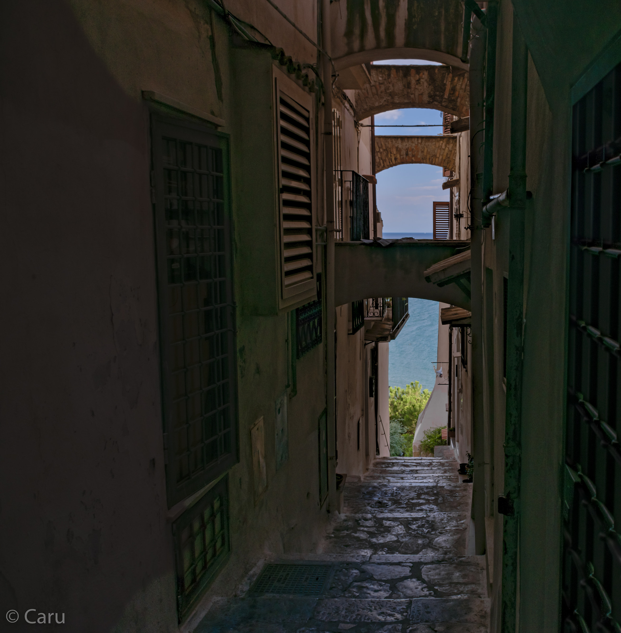 ... The glimpse! ...