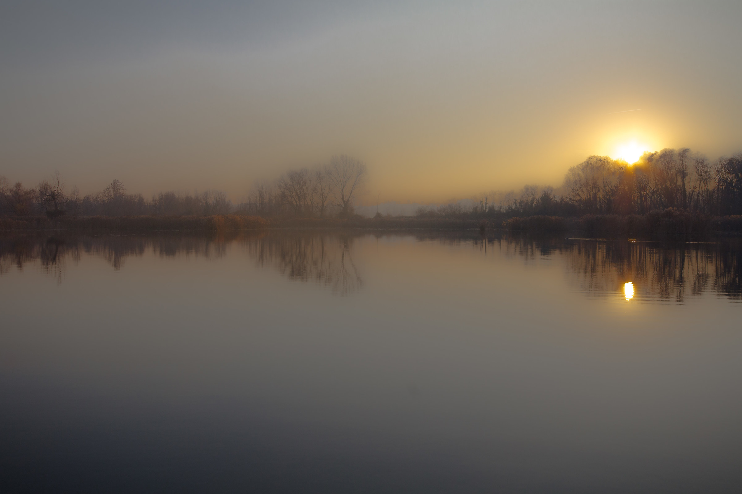 December arrived at Torbiere