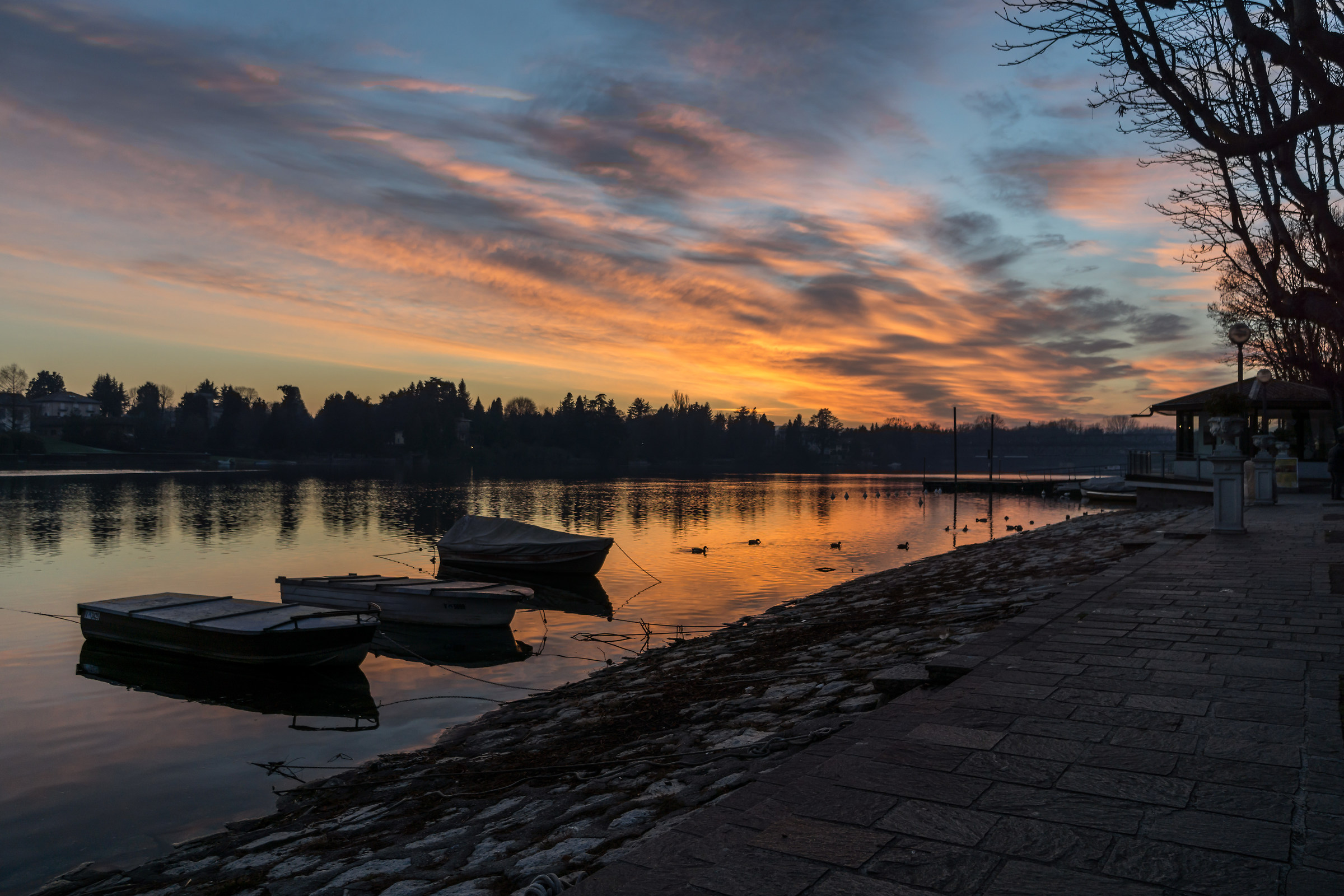 Domenica 18 dicembre 2016, 16:51