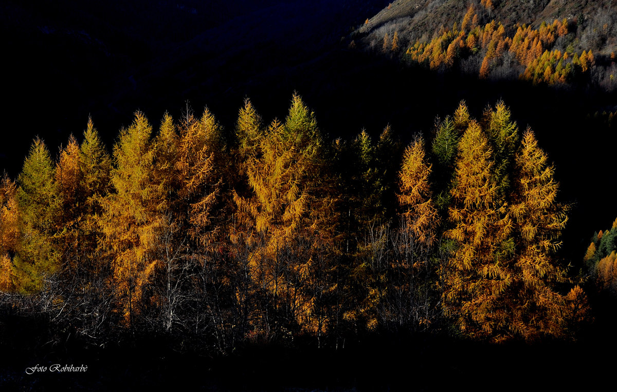 Un' ombra avvolgente...