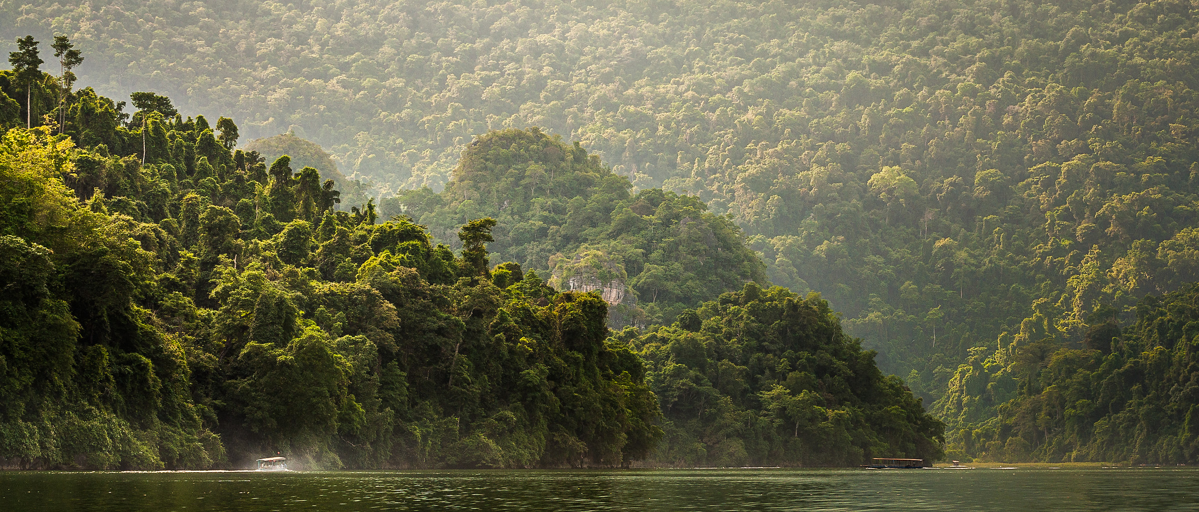Vegetazione esplosiva ai laghi di Ba Bè, Vietnam