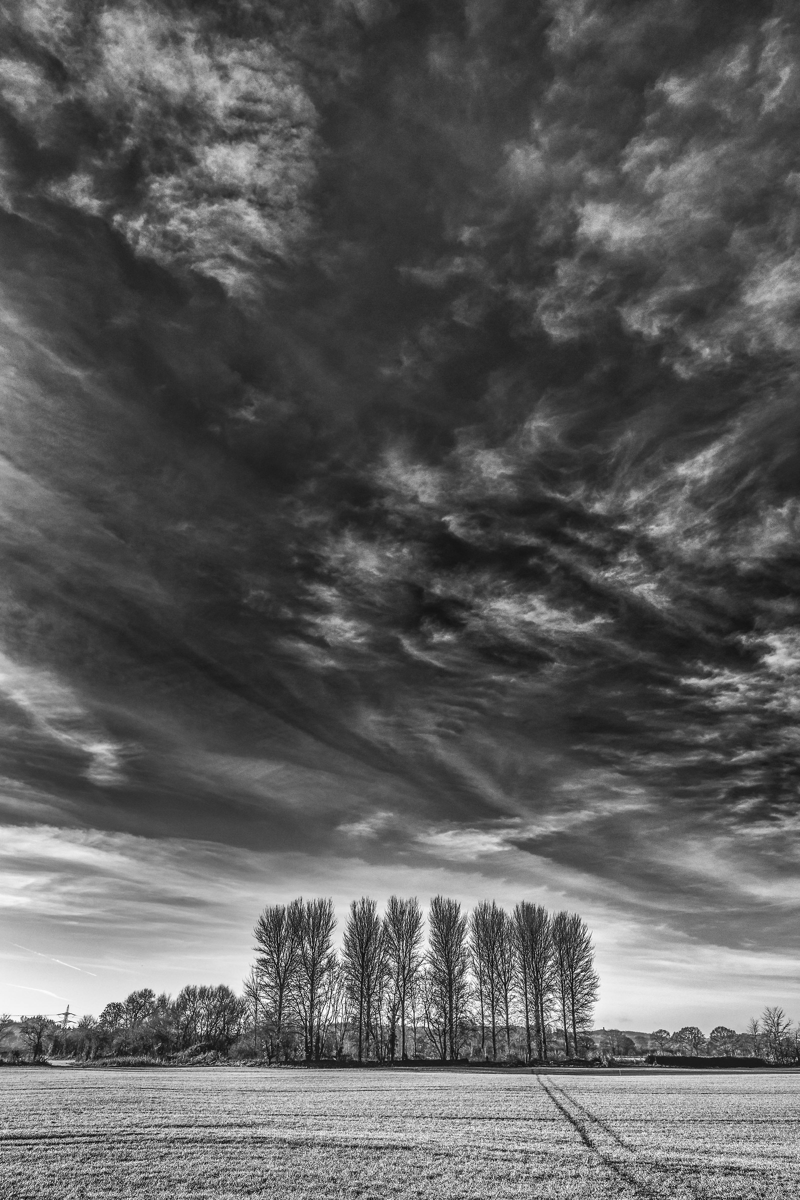 Spazzolare The Skies