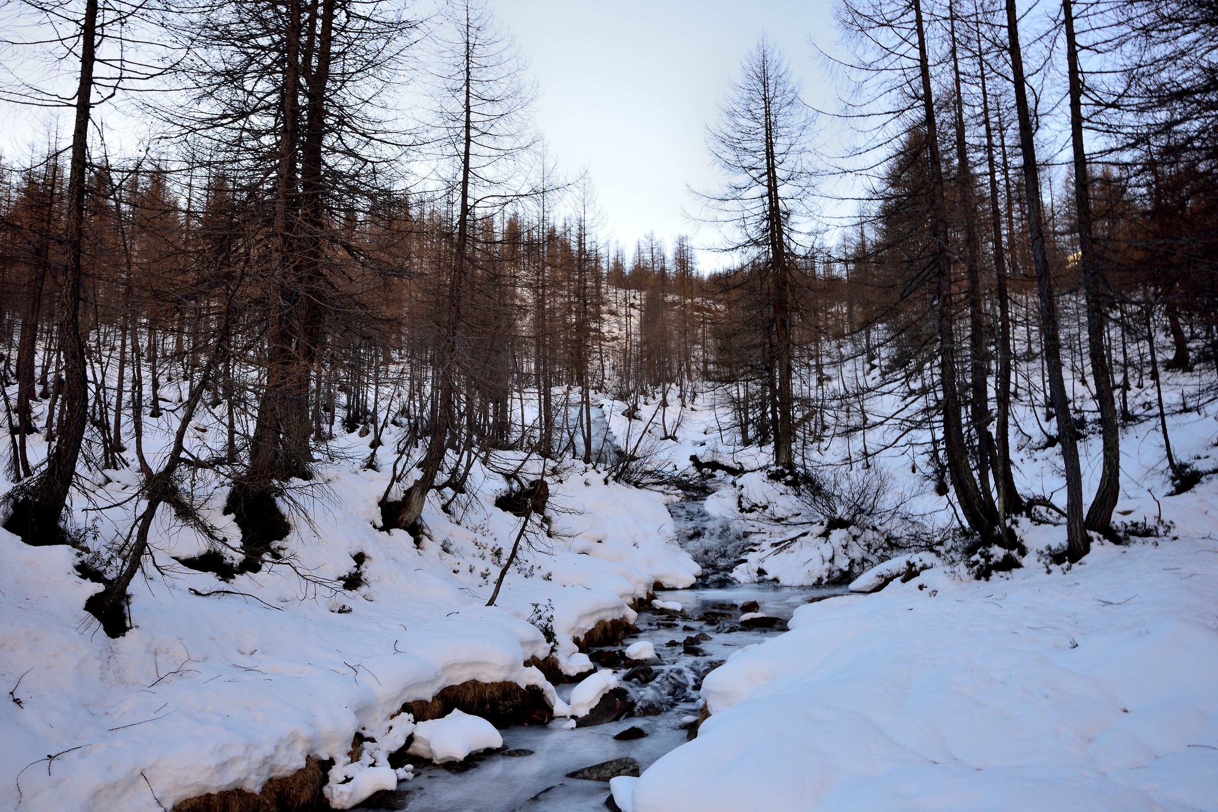 la presenza del ghiaccio era preoccupante