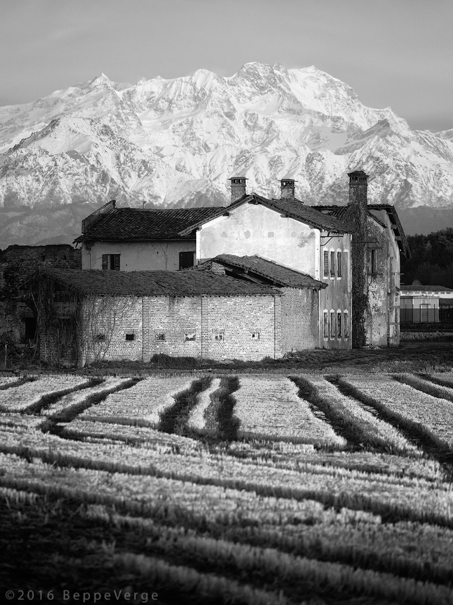 Dalle risaie al Rosa