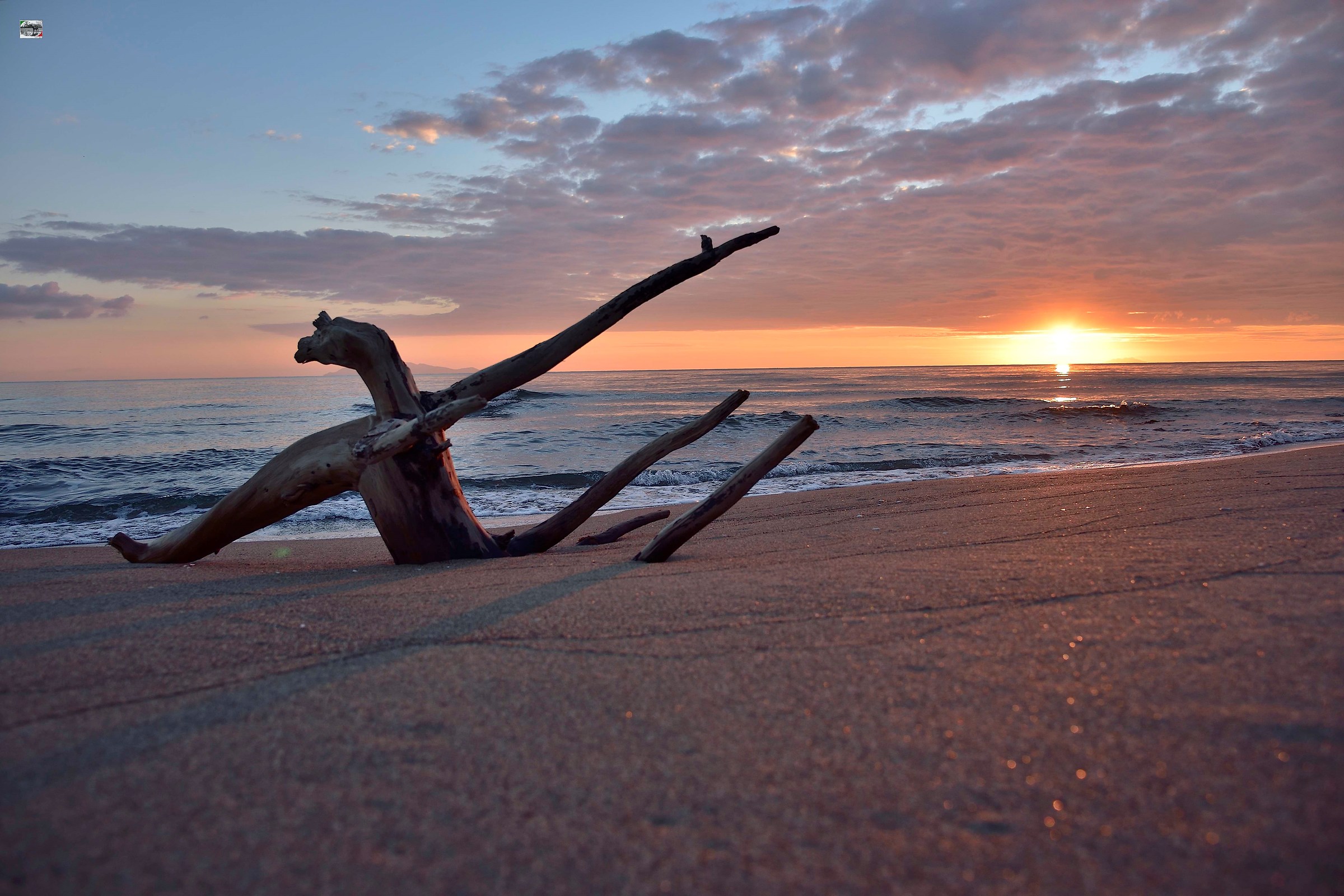 Parco della Maremma al tramonto