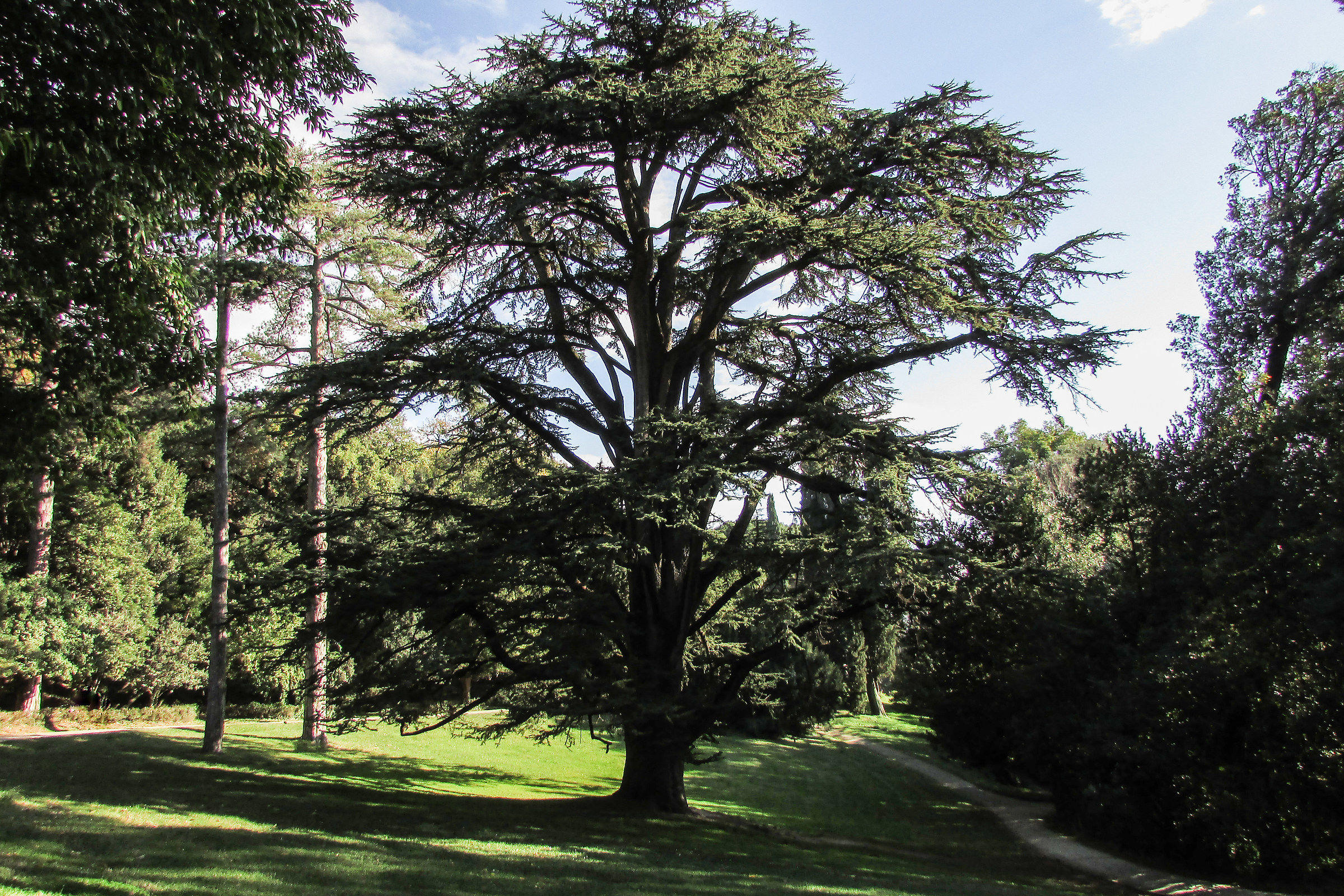 Giardino Inglese nella Reggia di Caserta