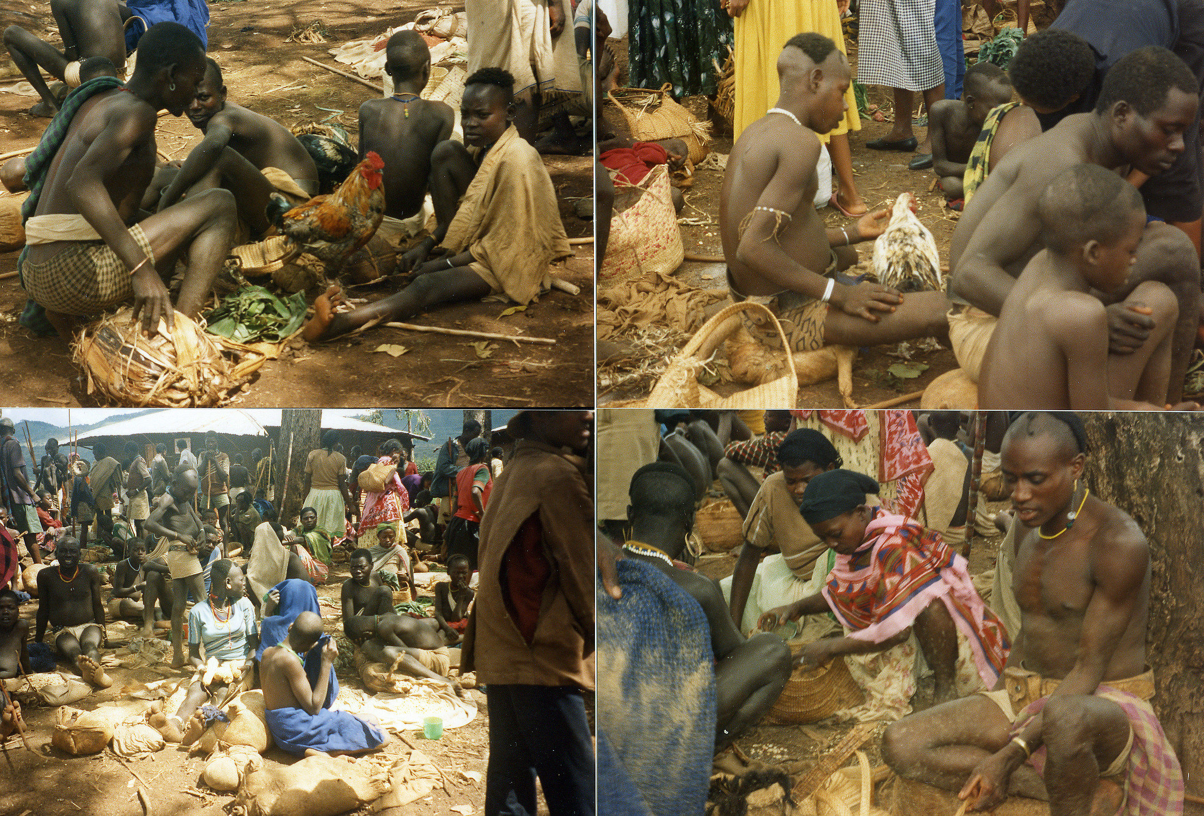 236 Market Collage Tum