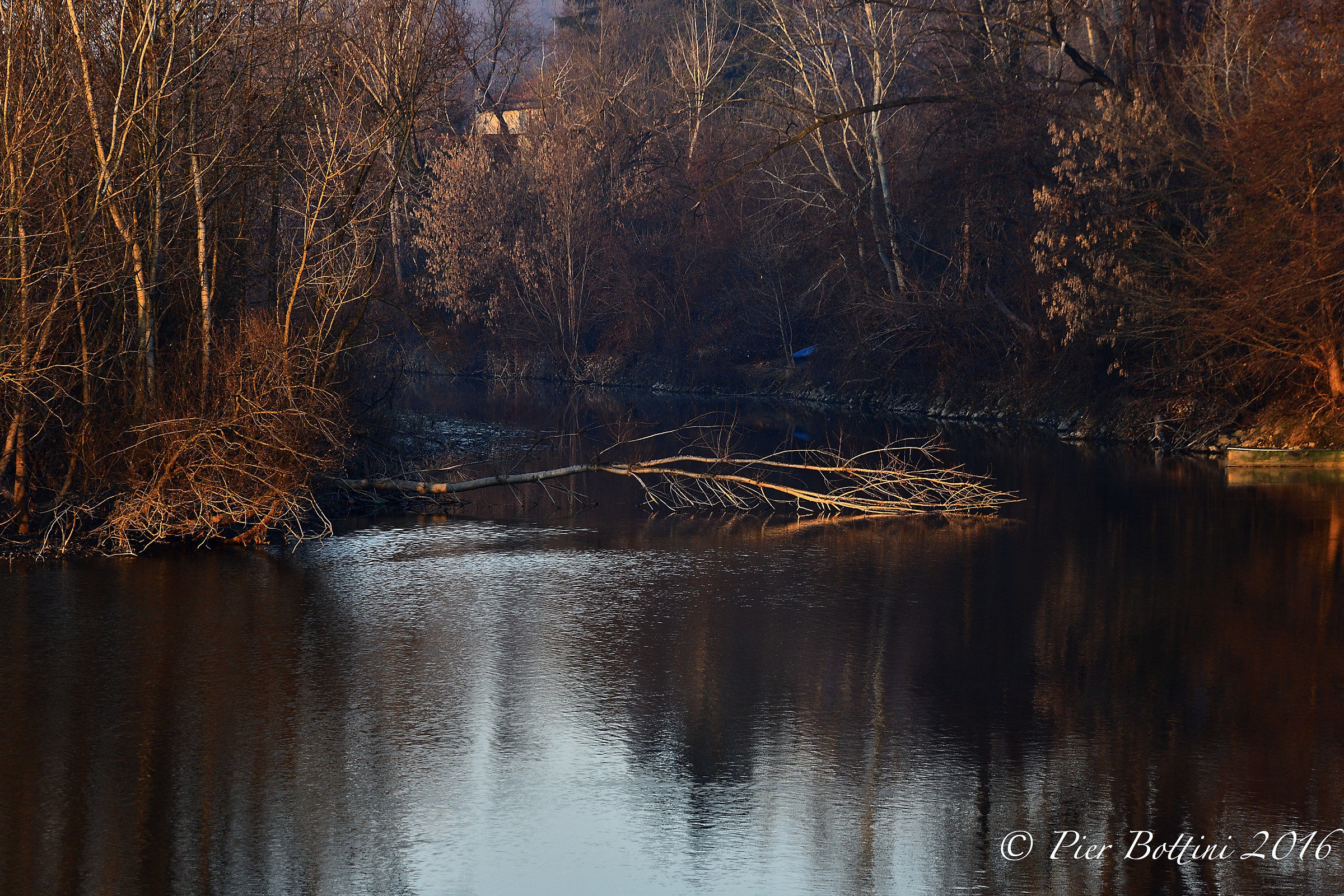 One afternoon along the river.