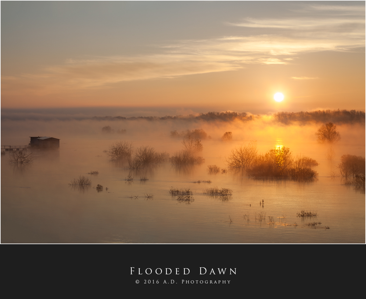 Flooded Dawn