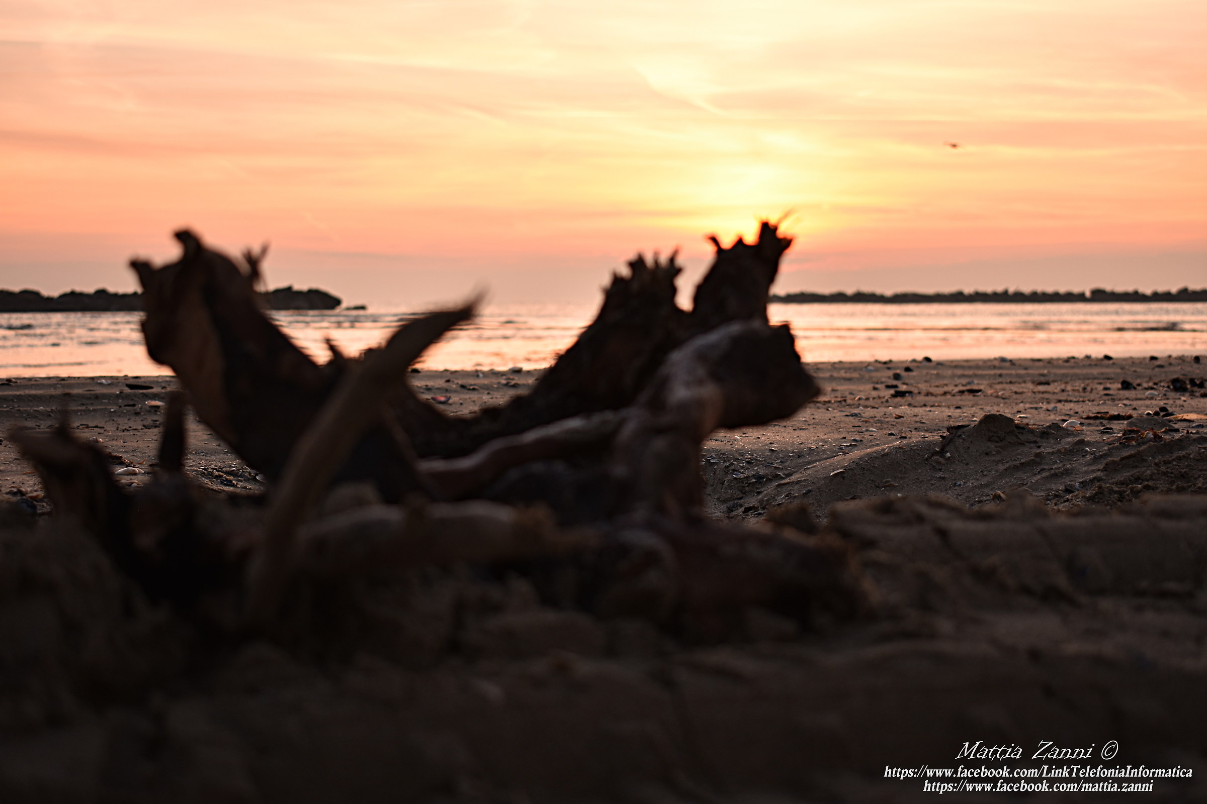 Porto Garibaldi - Alba 12/17/2016