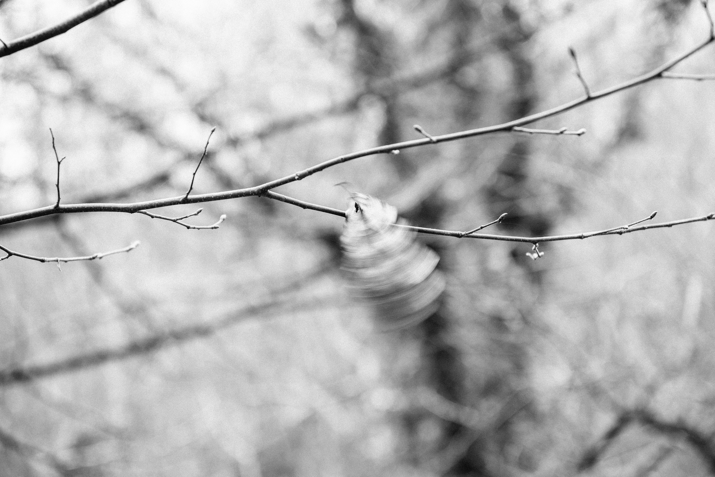 Lascia che il vento passi senza portarmi via