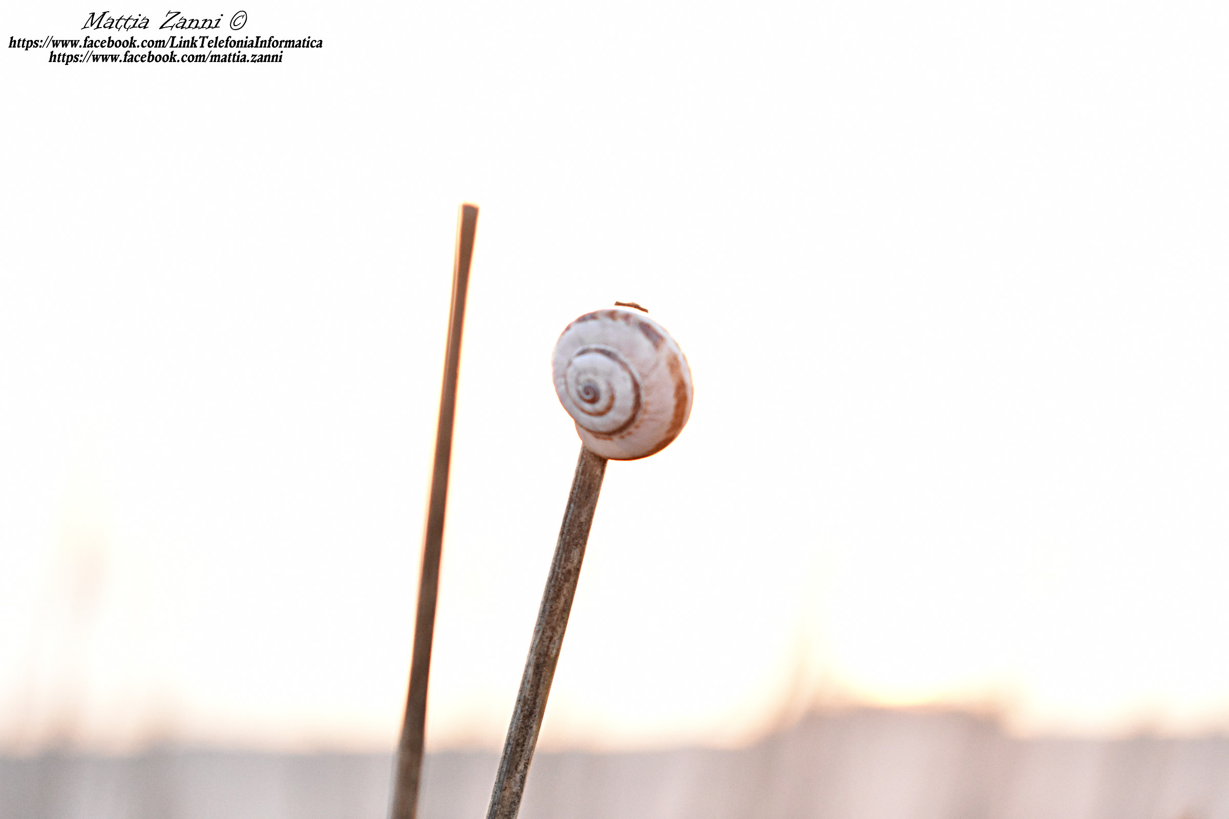 Porto Garibaldi - Alba 12/17/2016